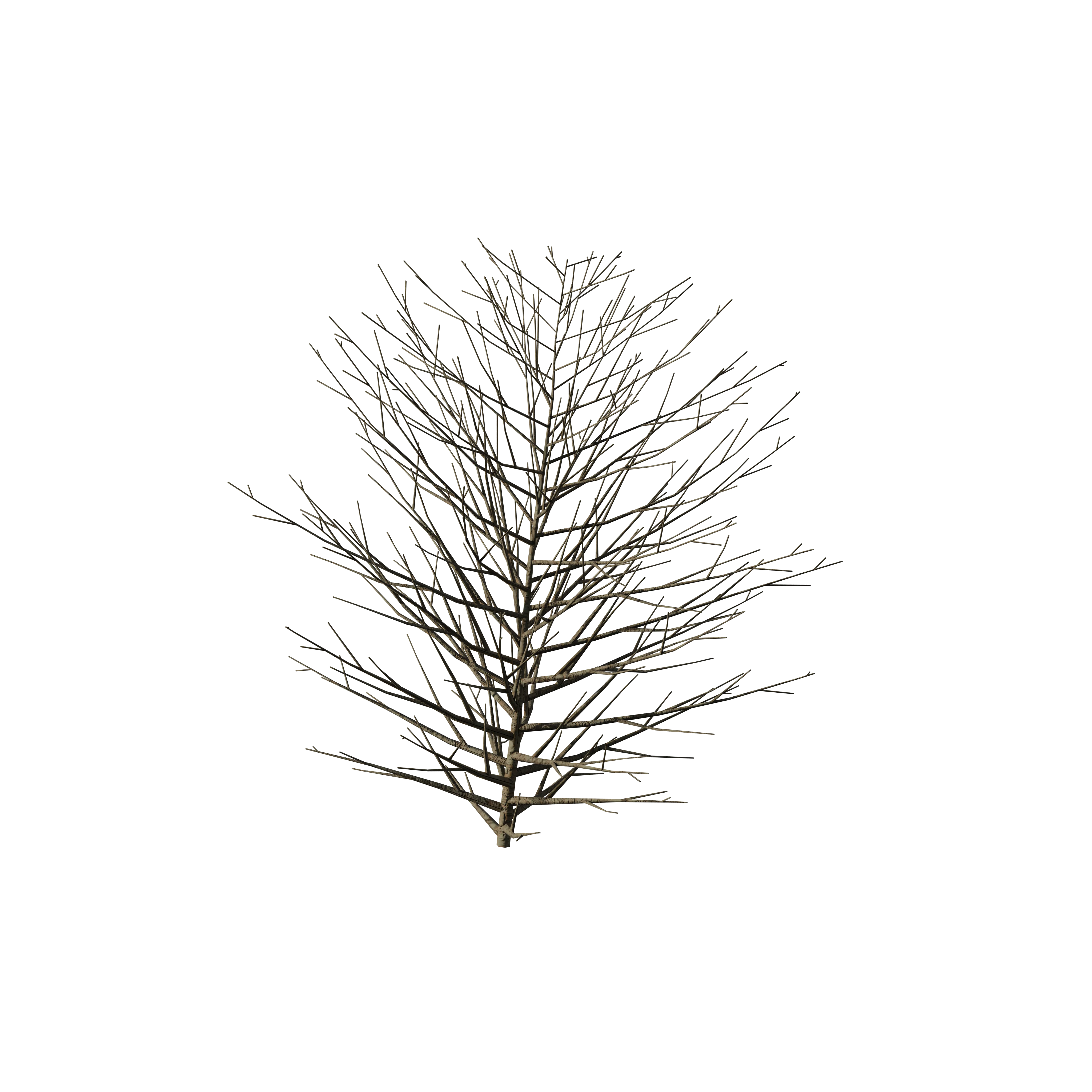 Product image 143