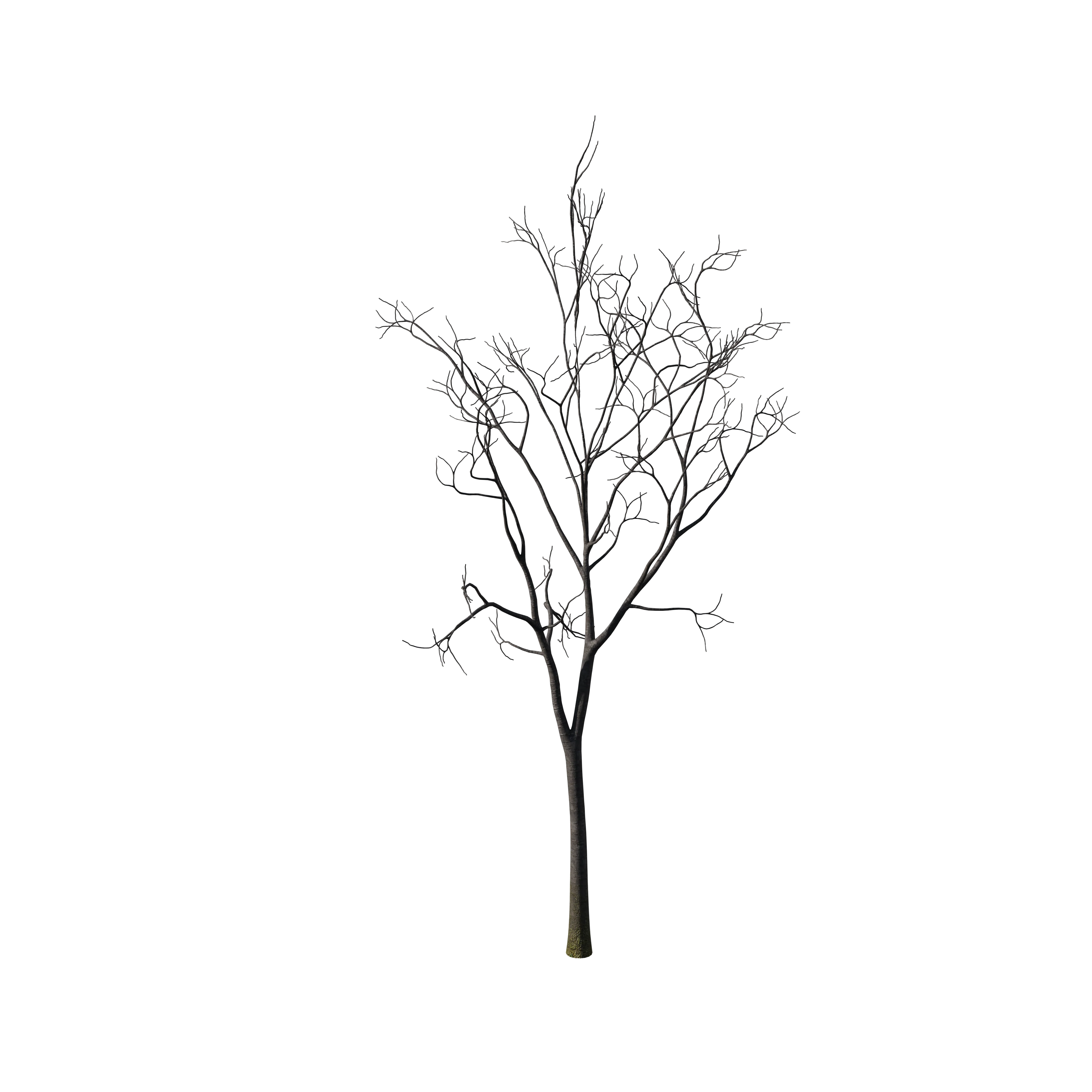 Product image 155
