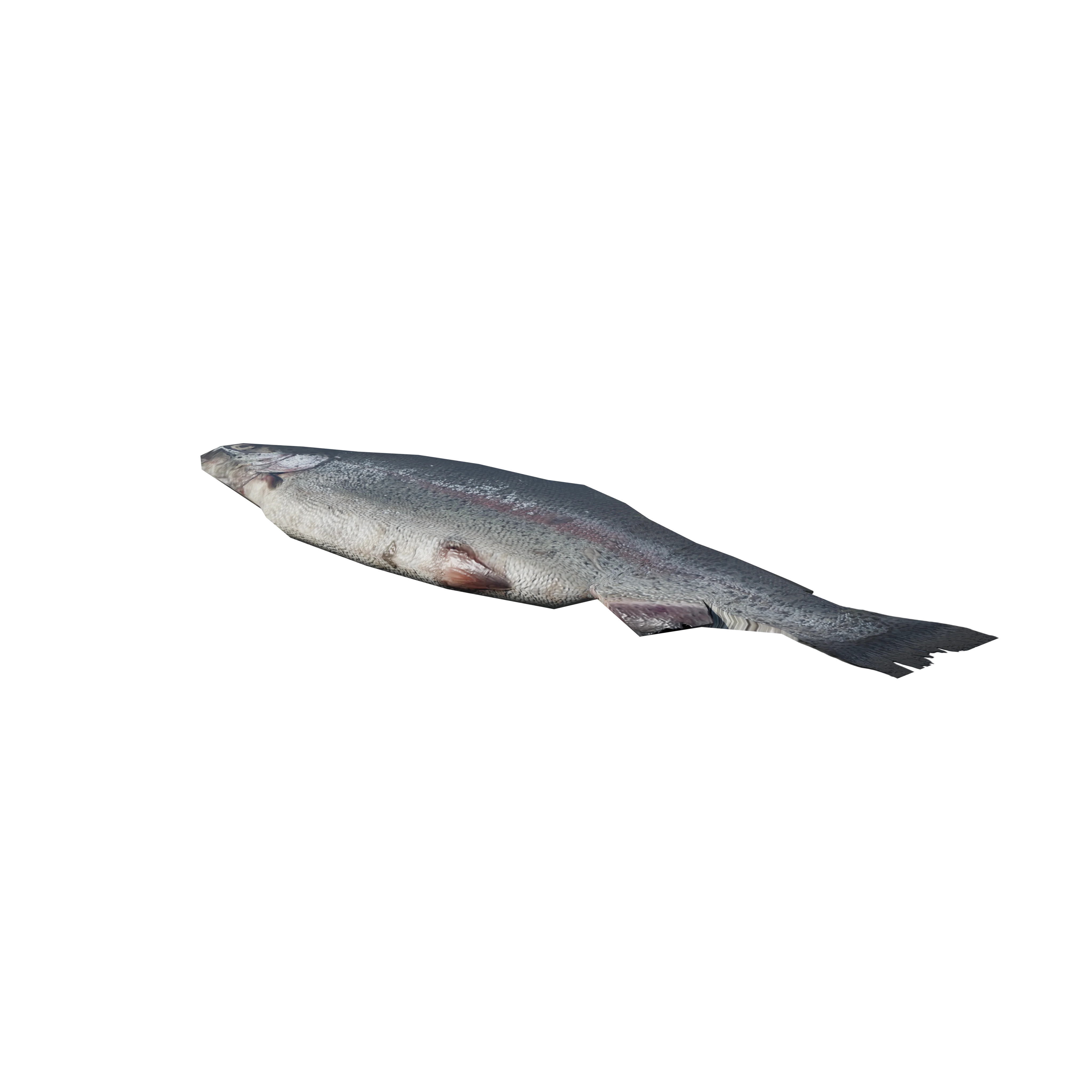 Product image 97