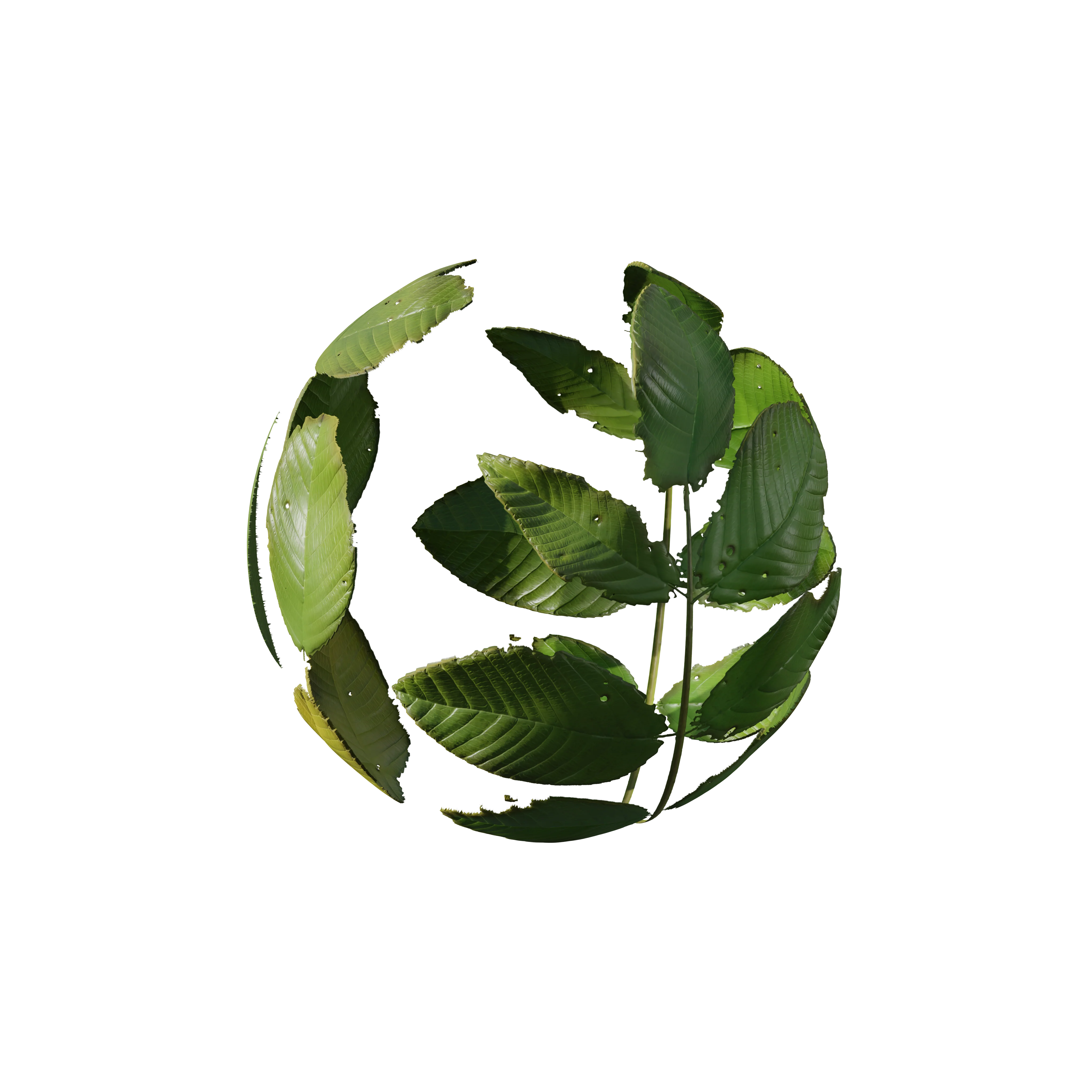 Product image 115