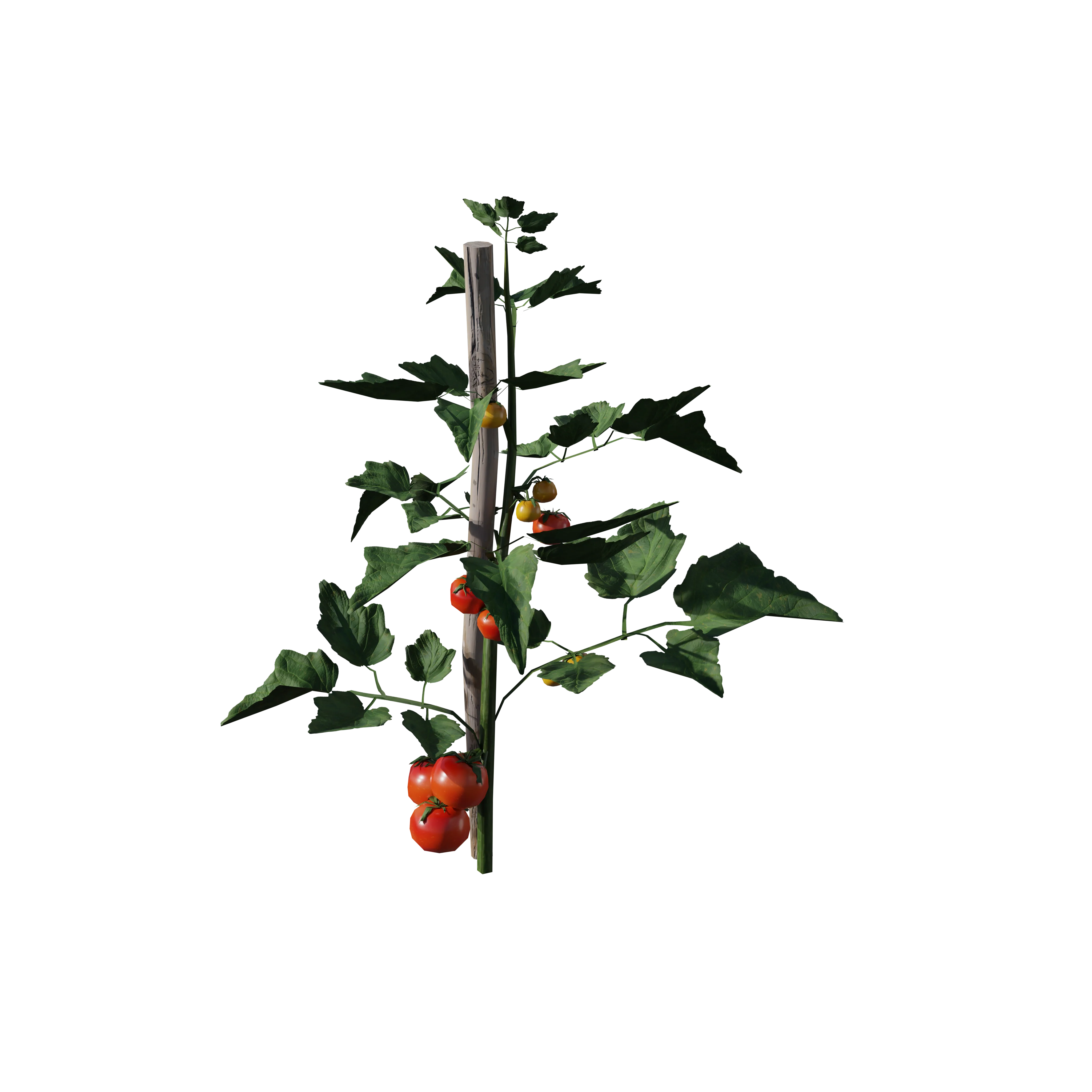 Product image 75