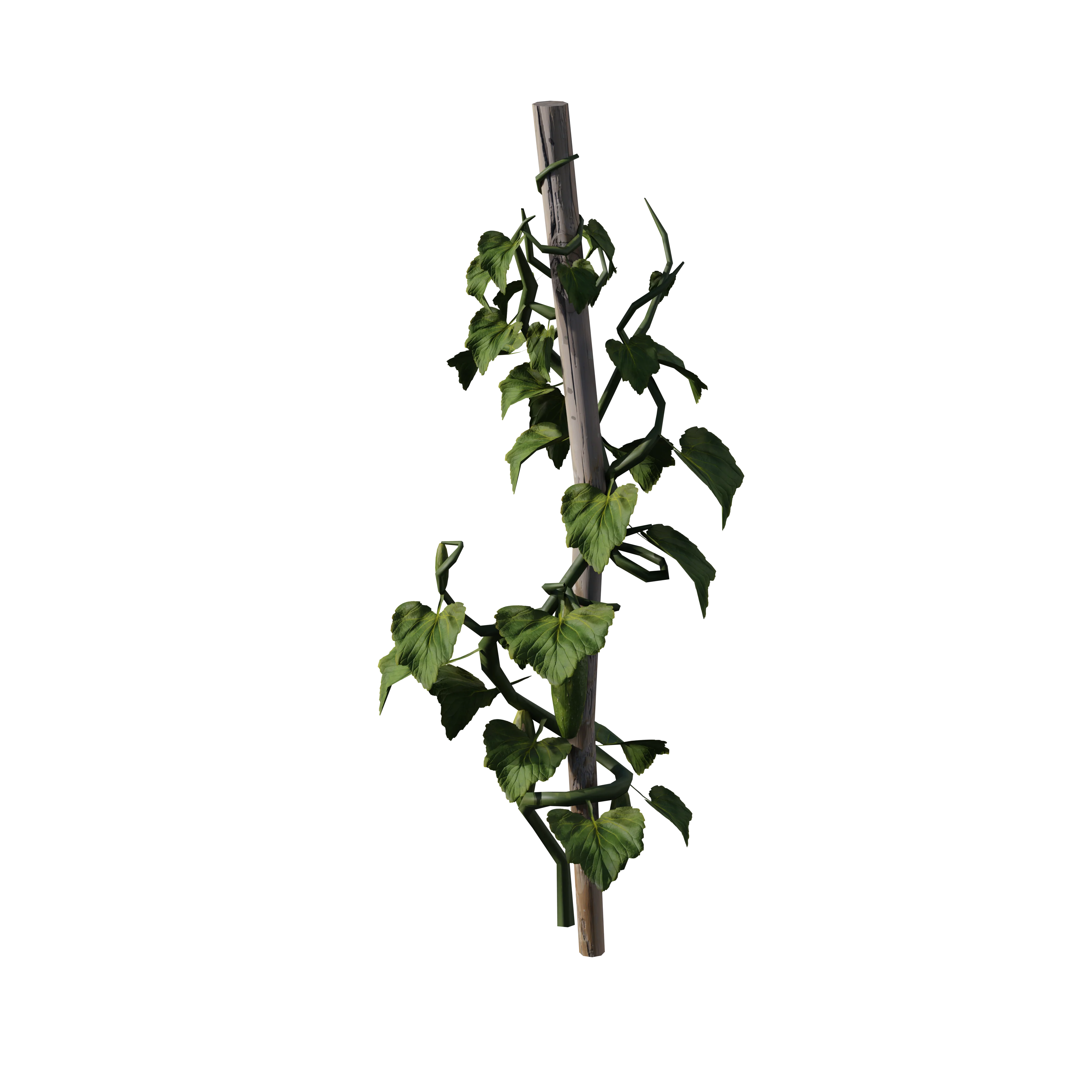 Product image 76