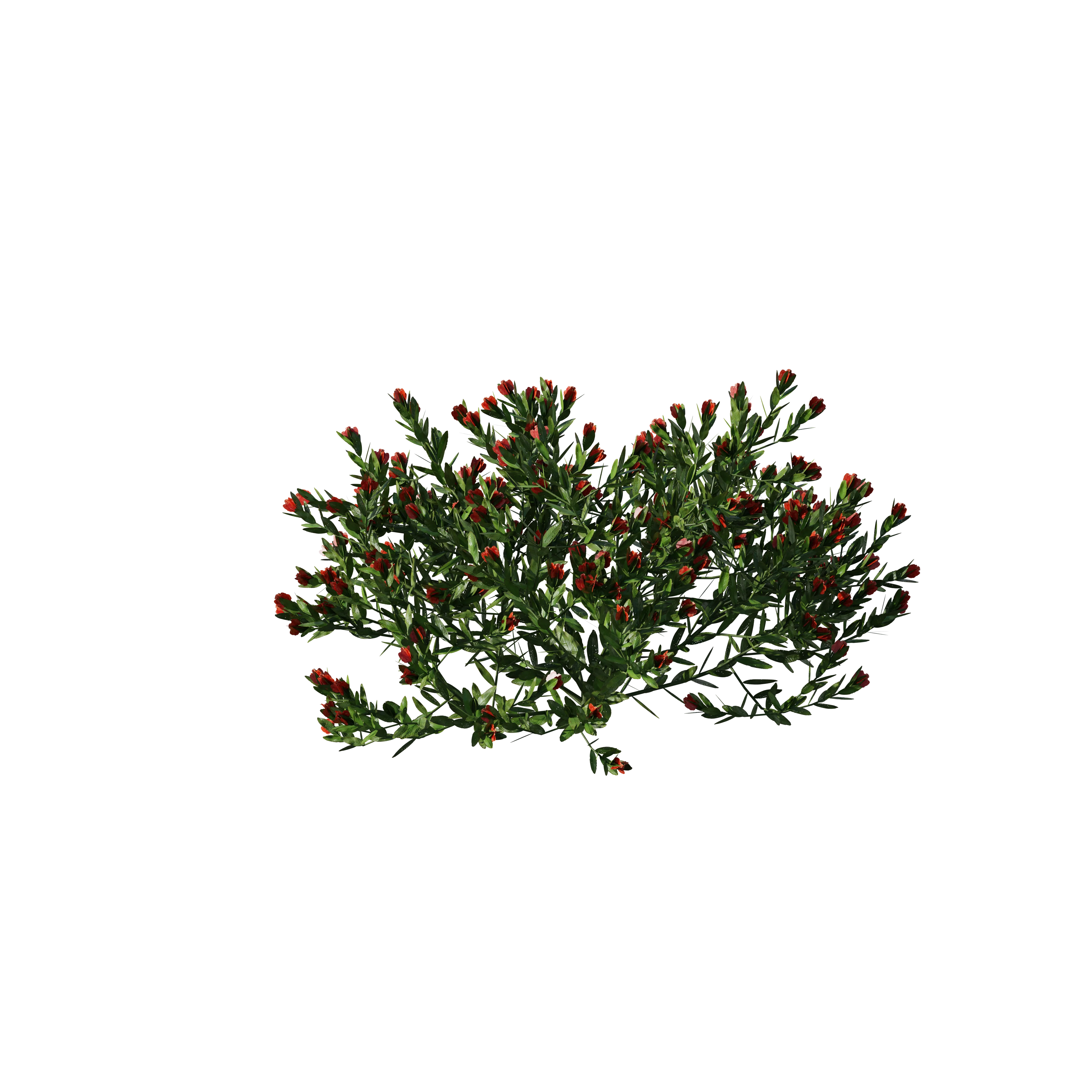 Product image 117