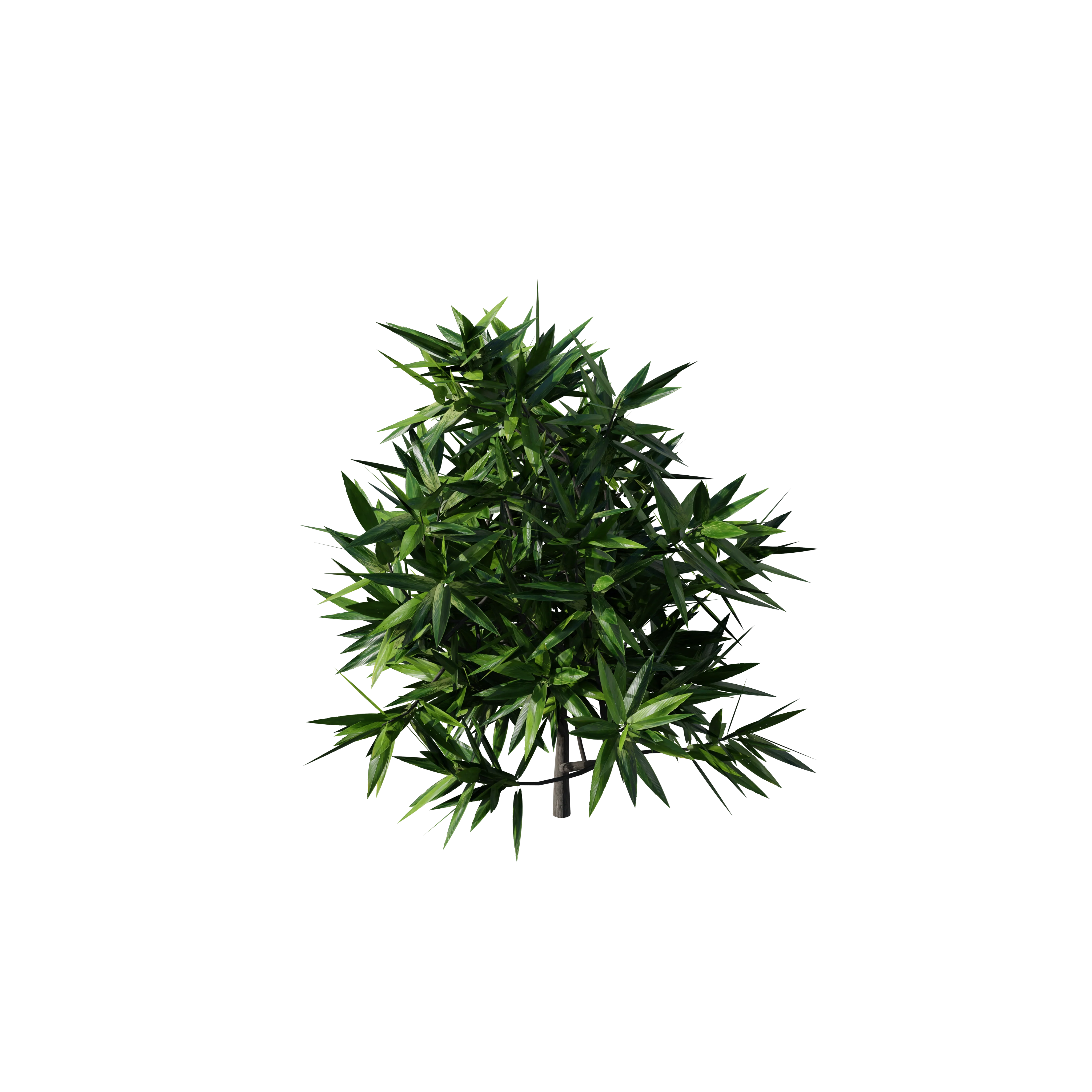 Product image 118