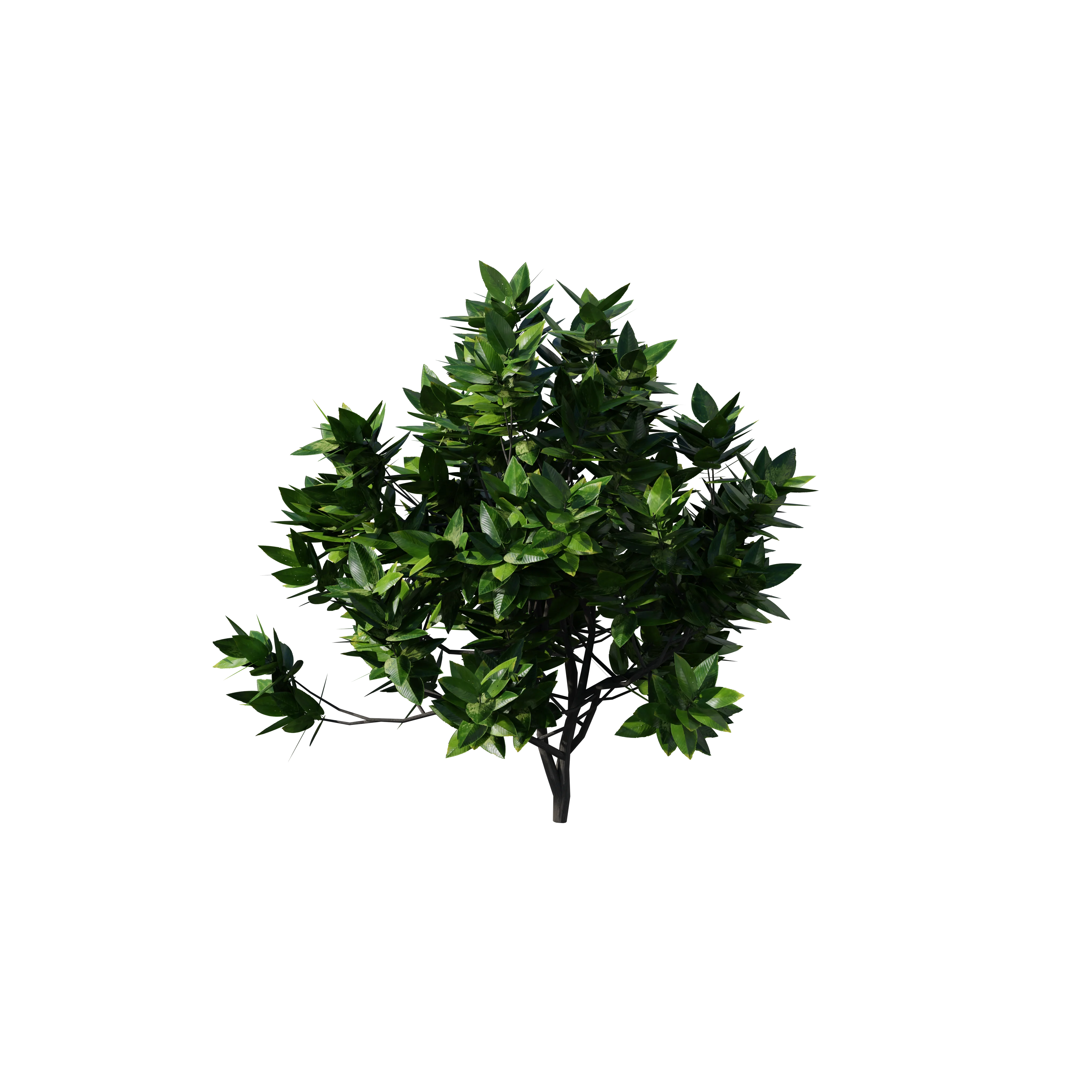 Product image 119