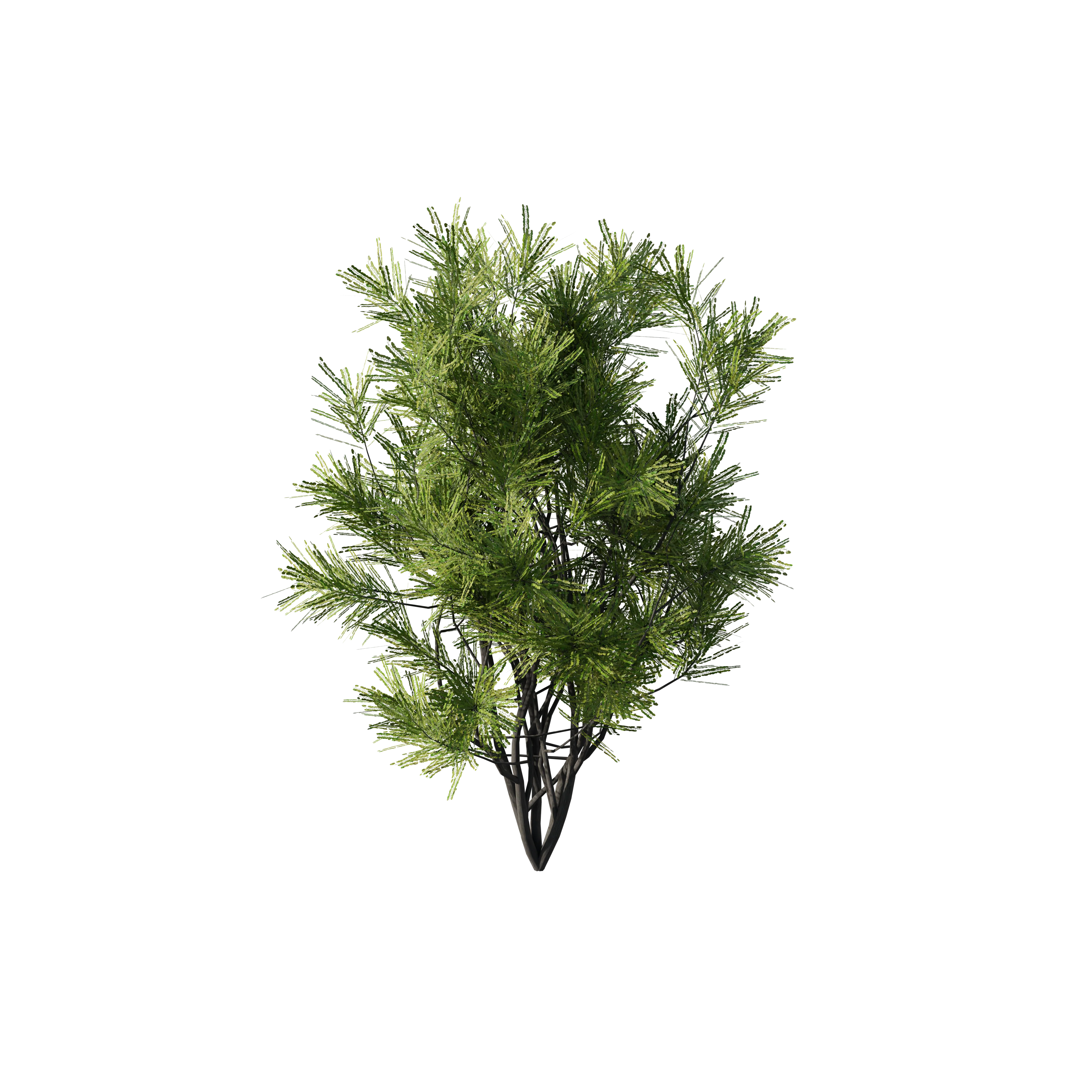 Product image 123
