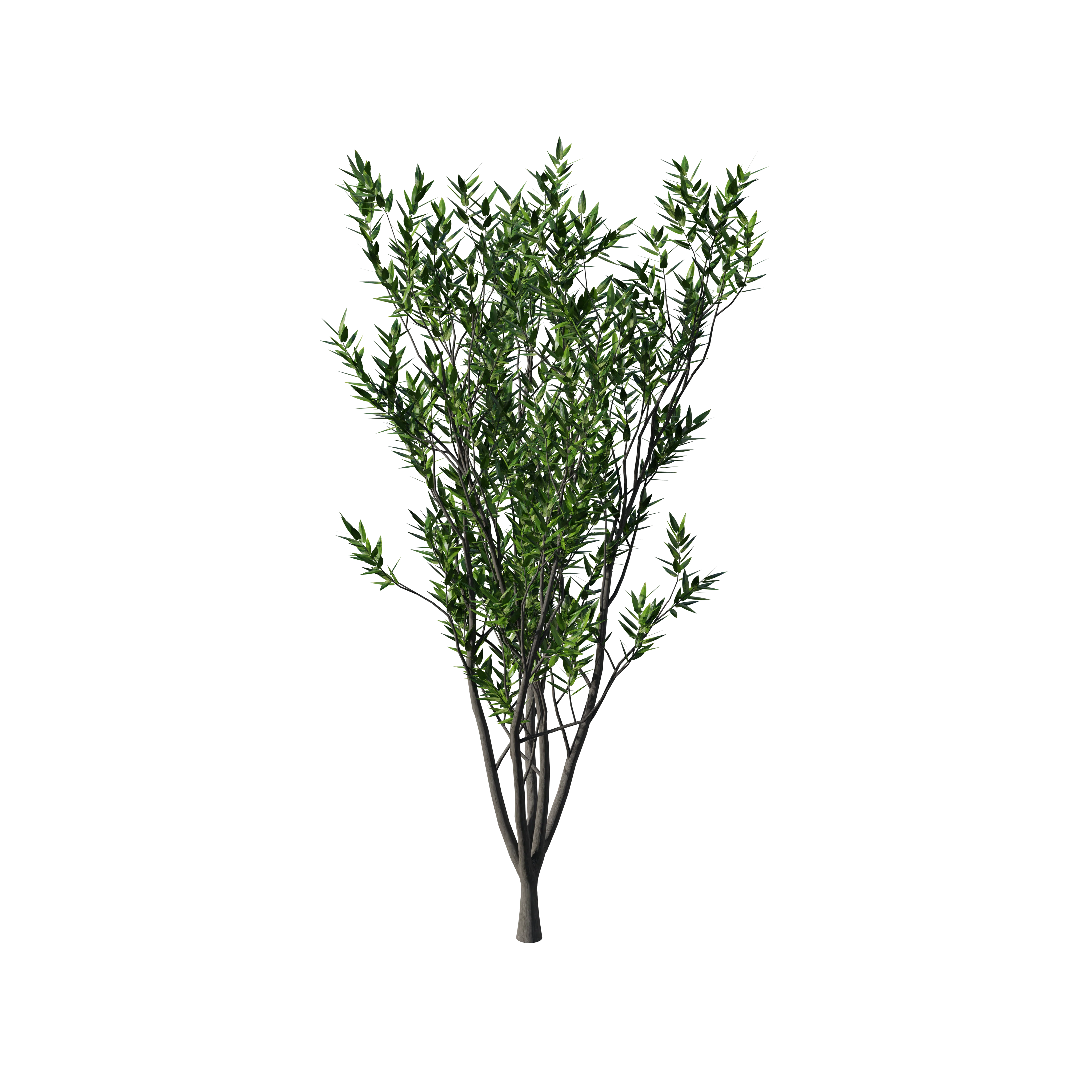 Product image 124