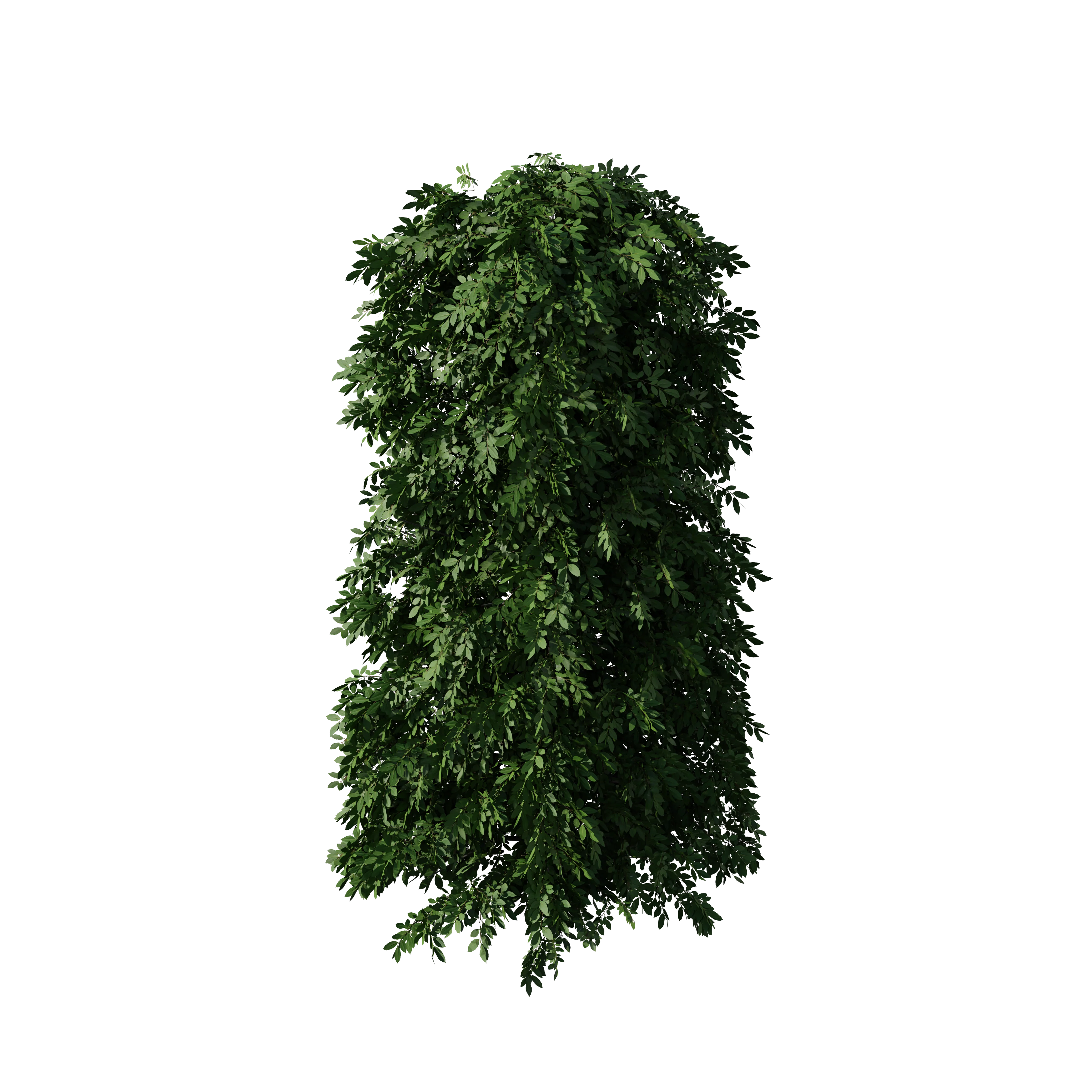 Product image 108