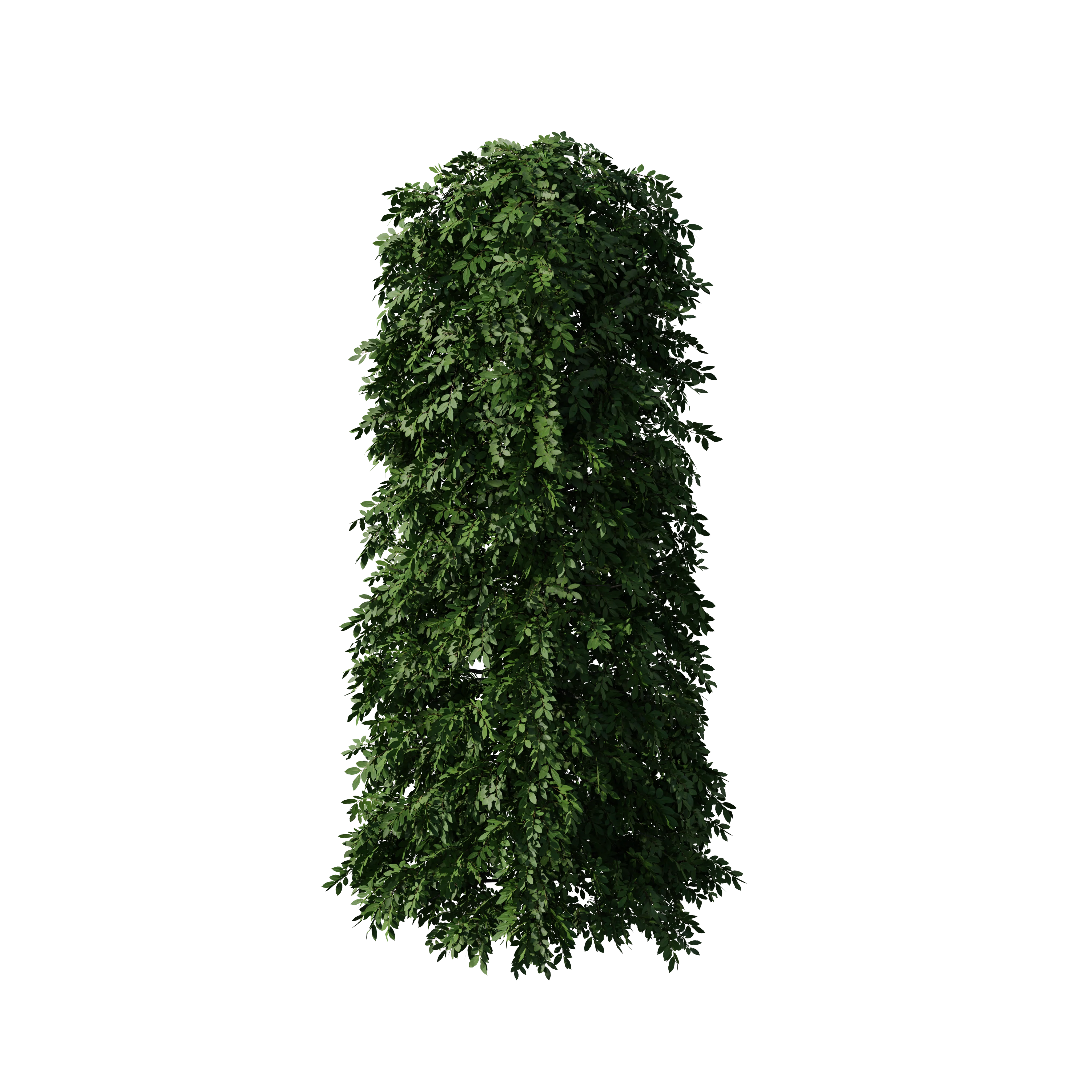 Product image 109