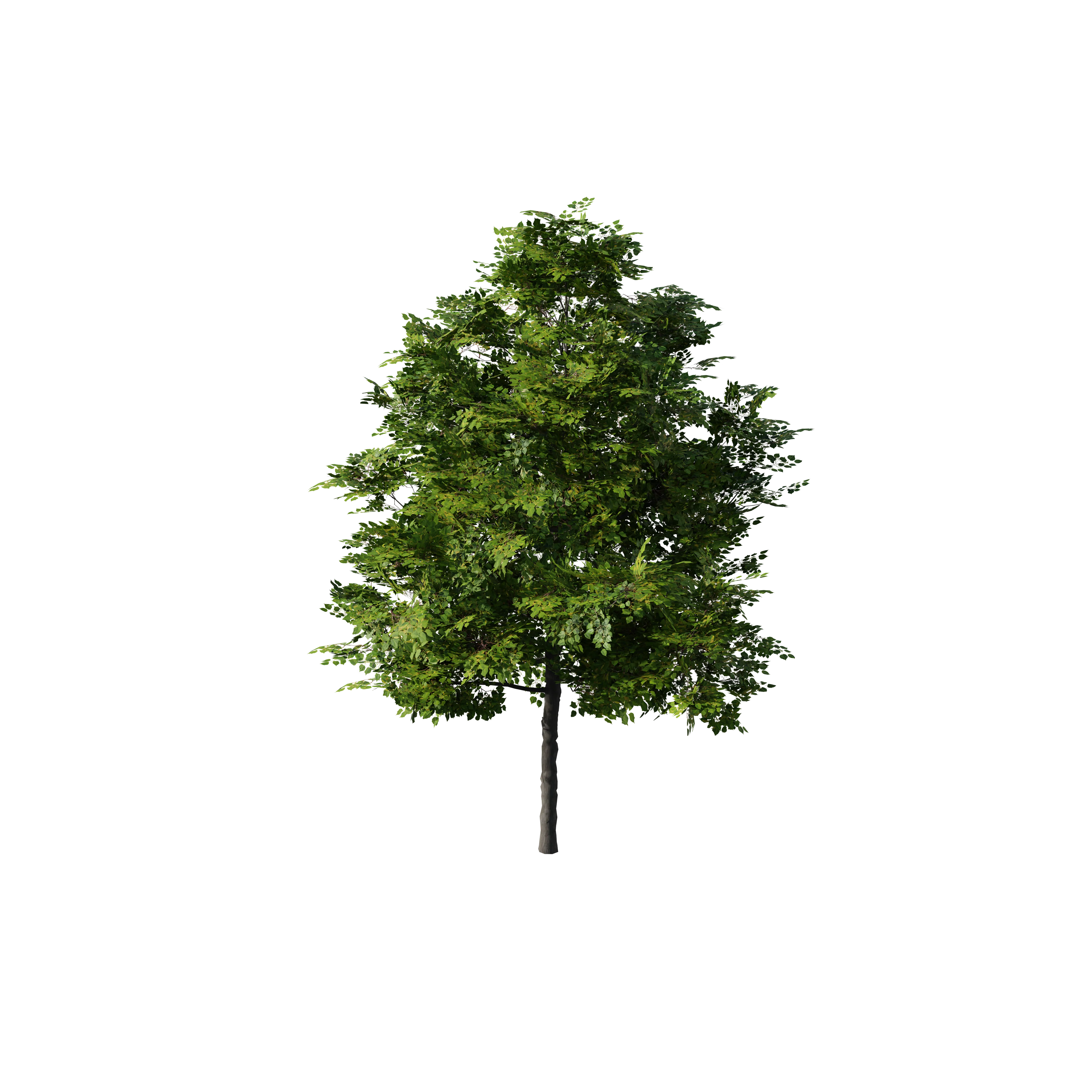 Product image 110