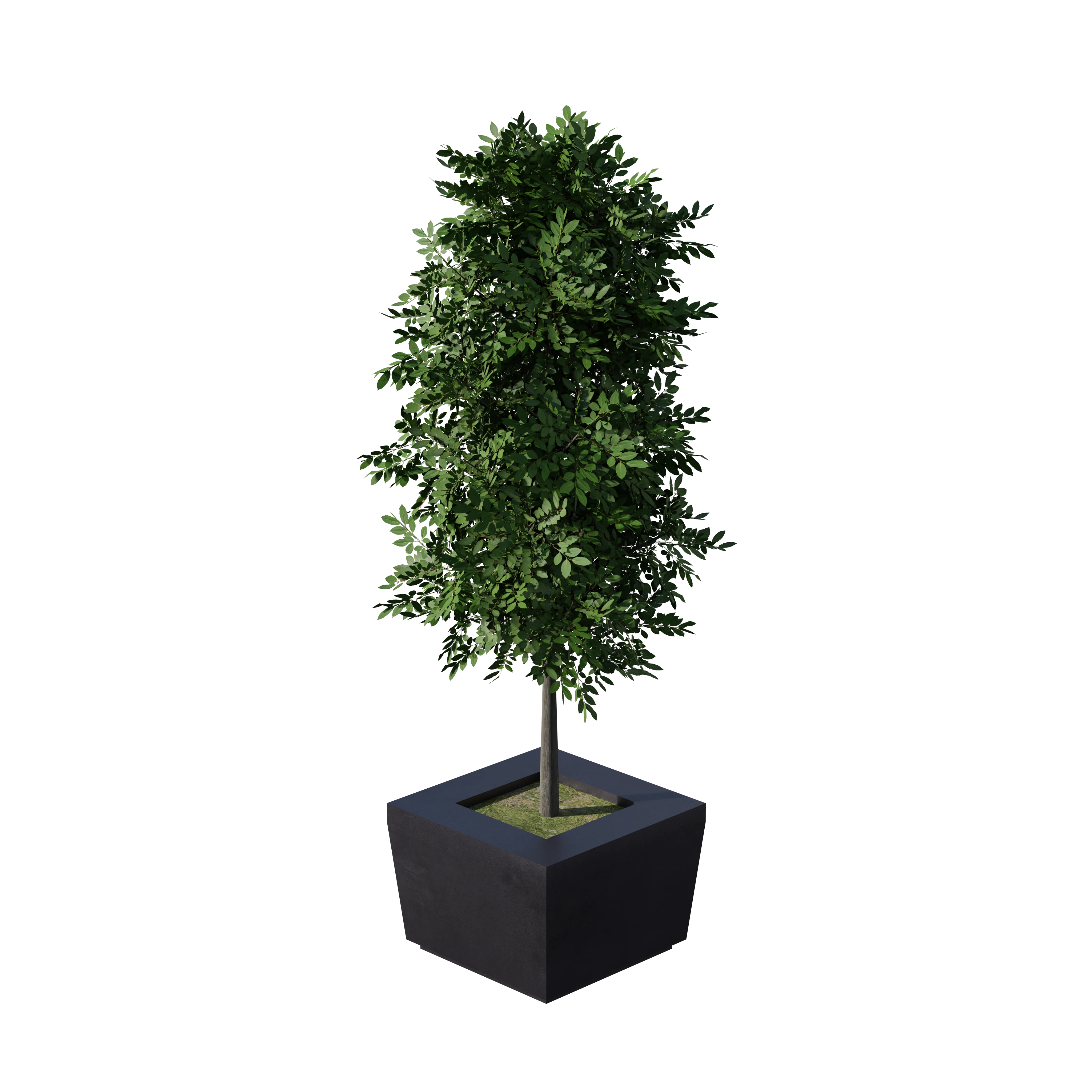 Product image 116
