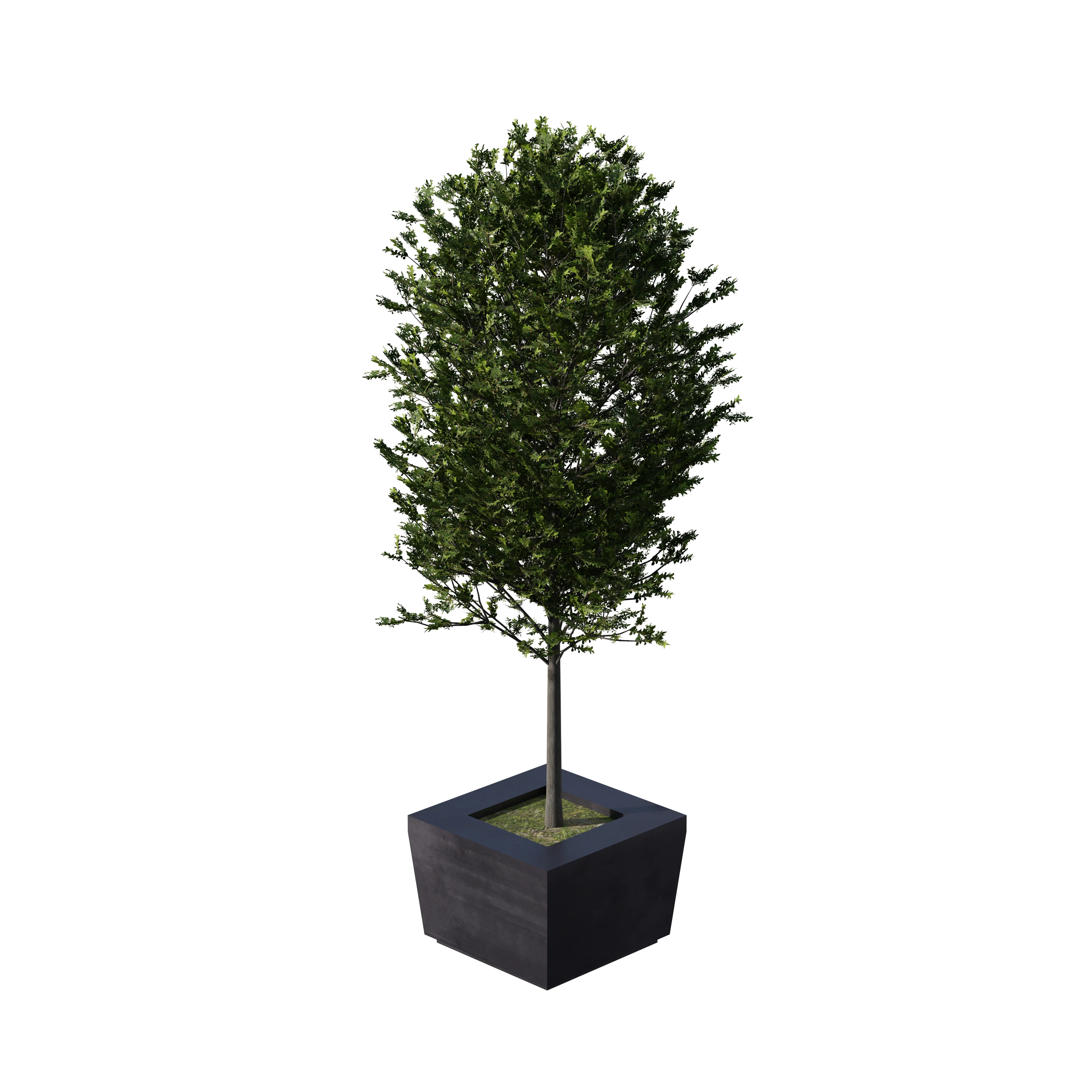 Product image 117