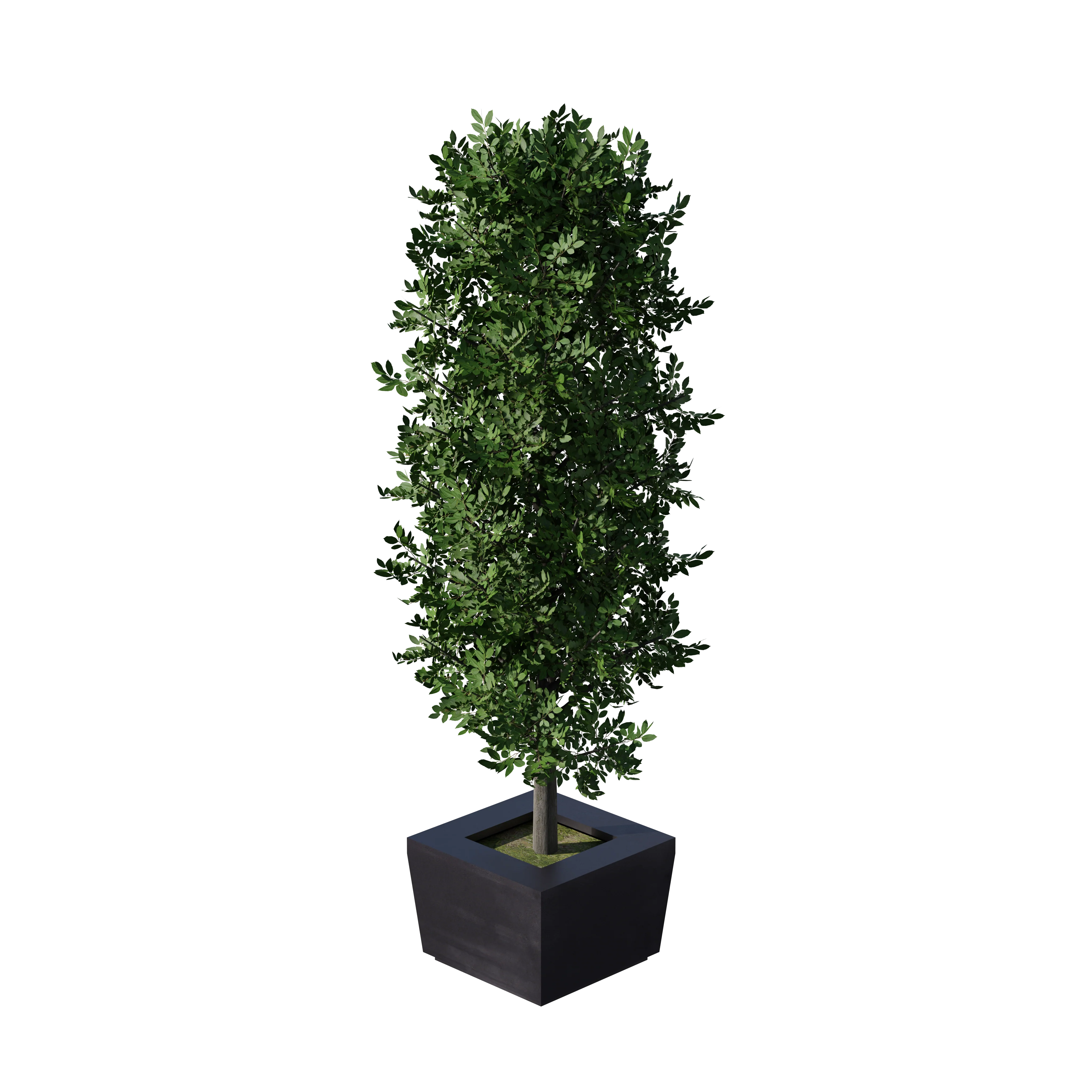 Product image 119