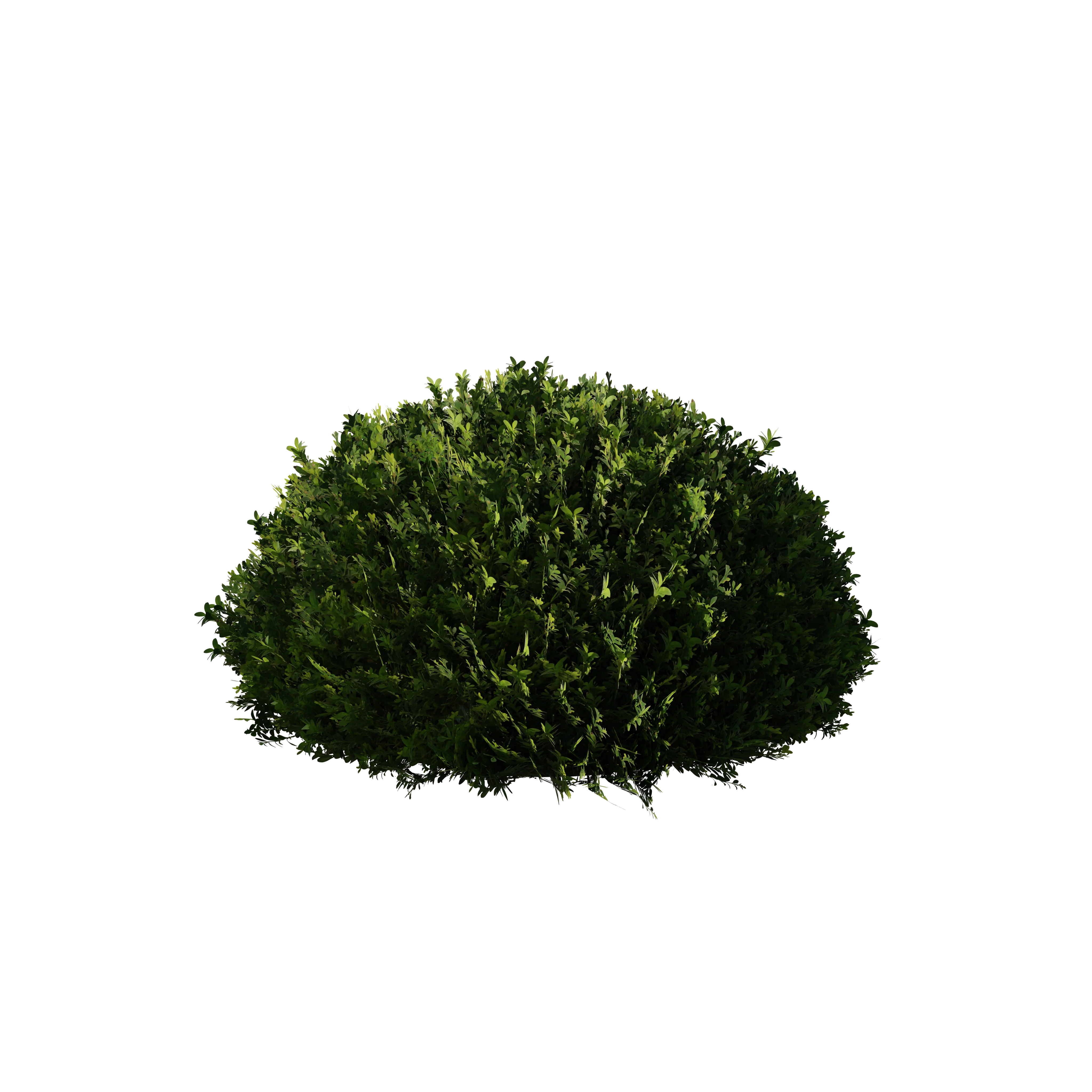 Product image 145