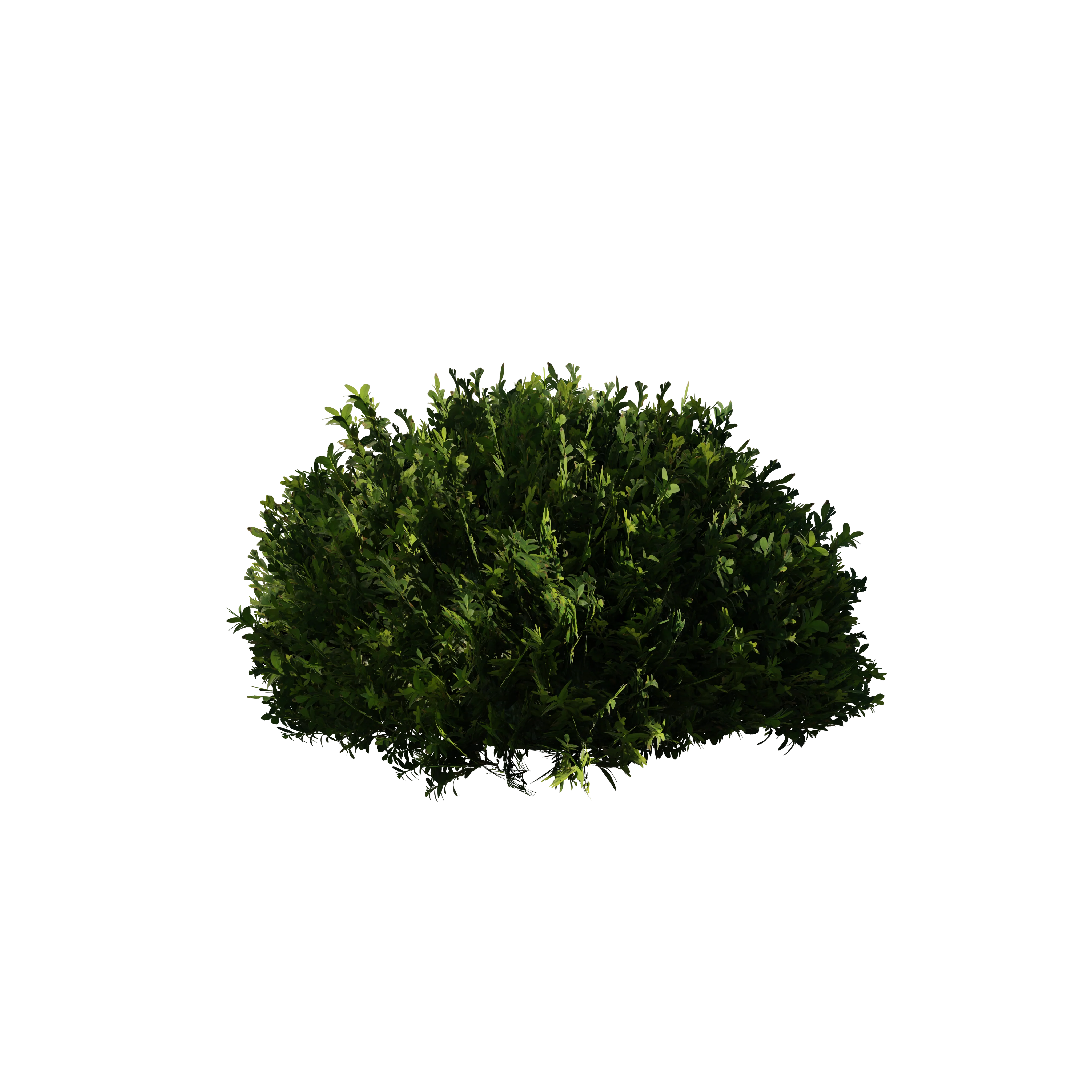 Product image 146