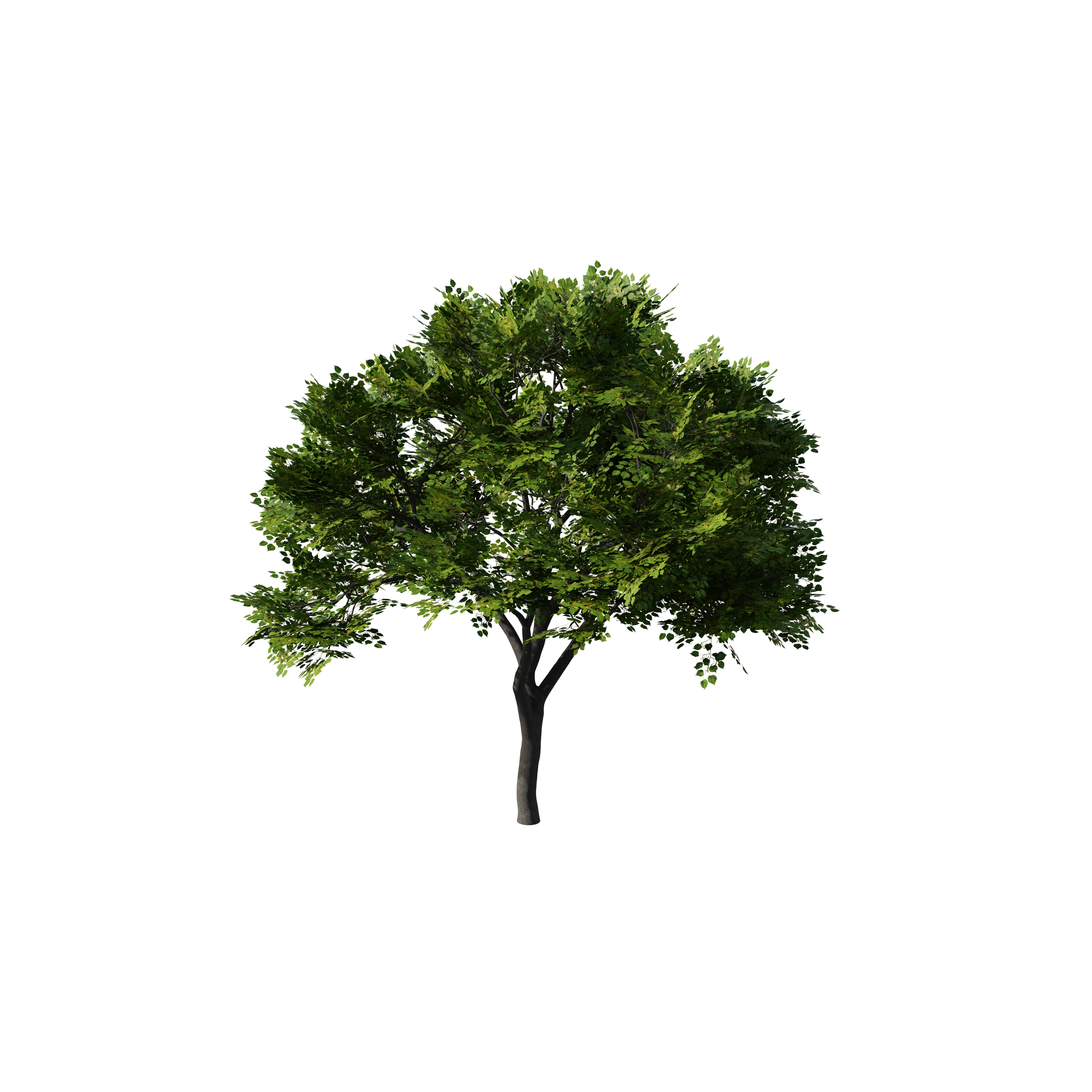 Product image 155