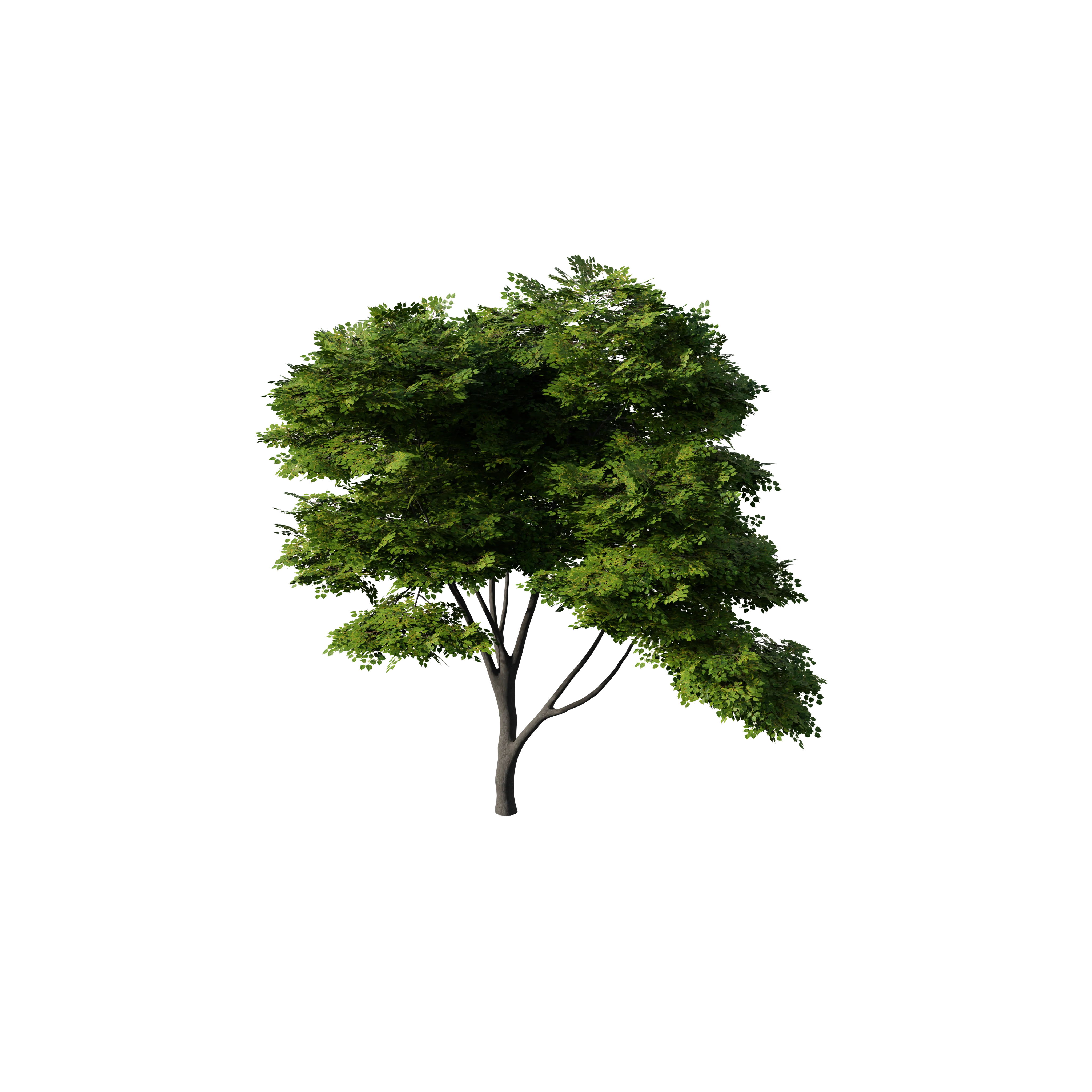 Product image 156