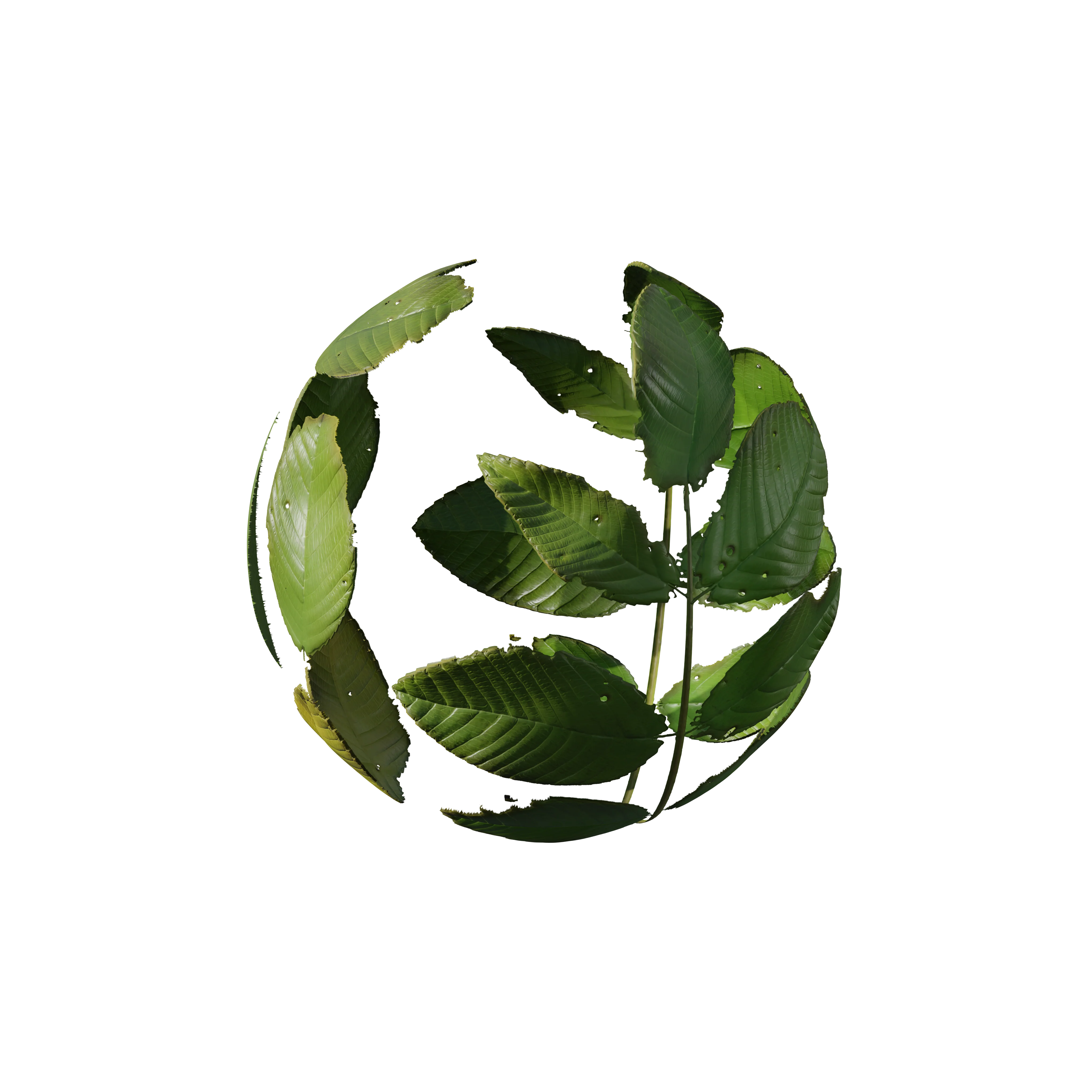 Product image 192