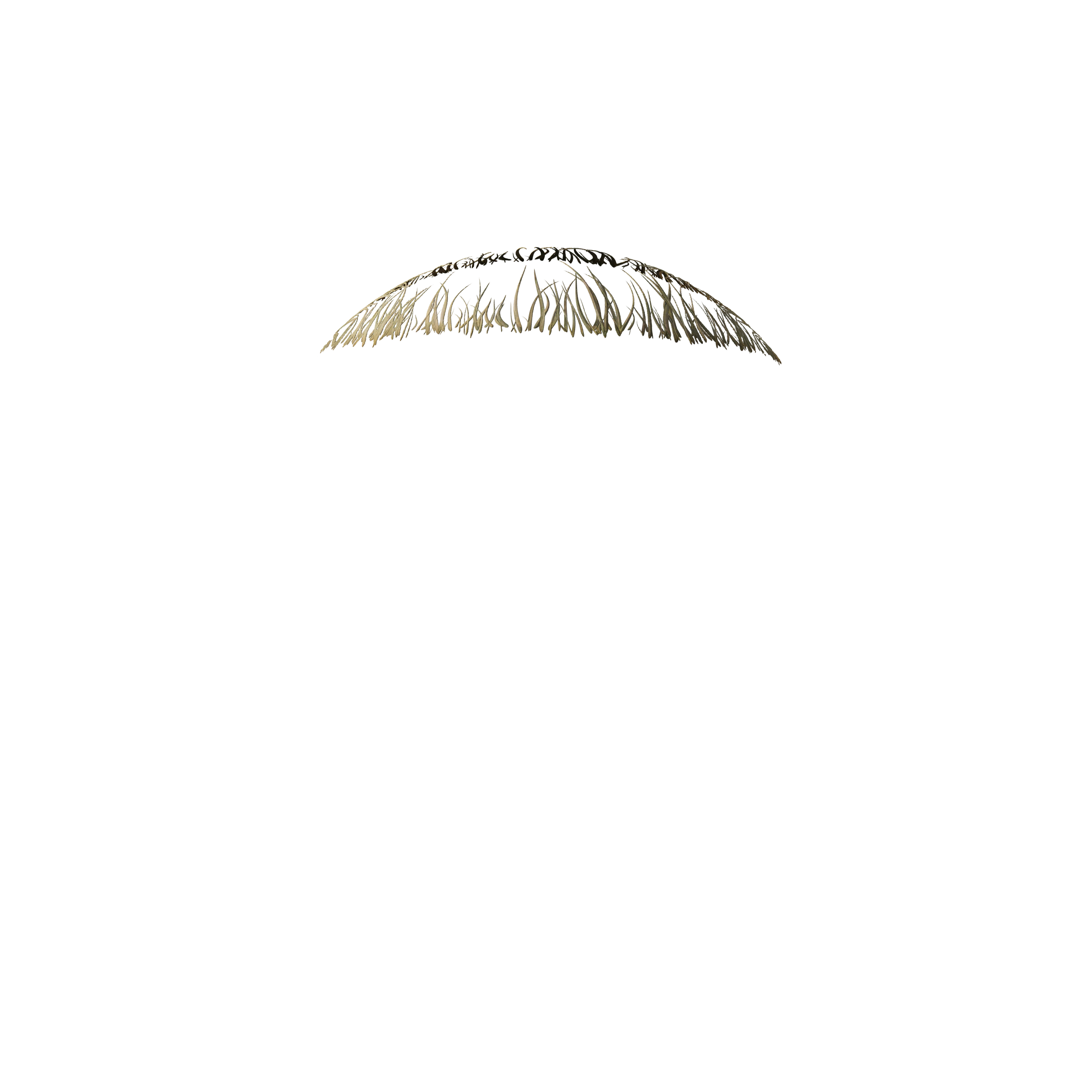 Product image 153