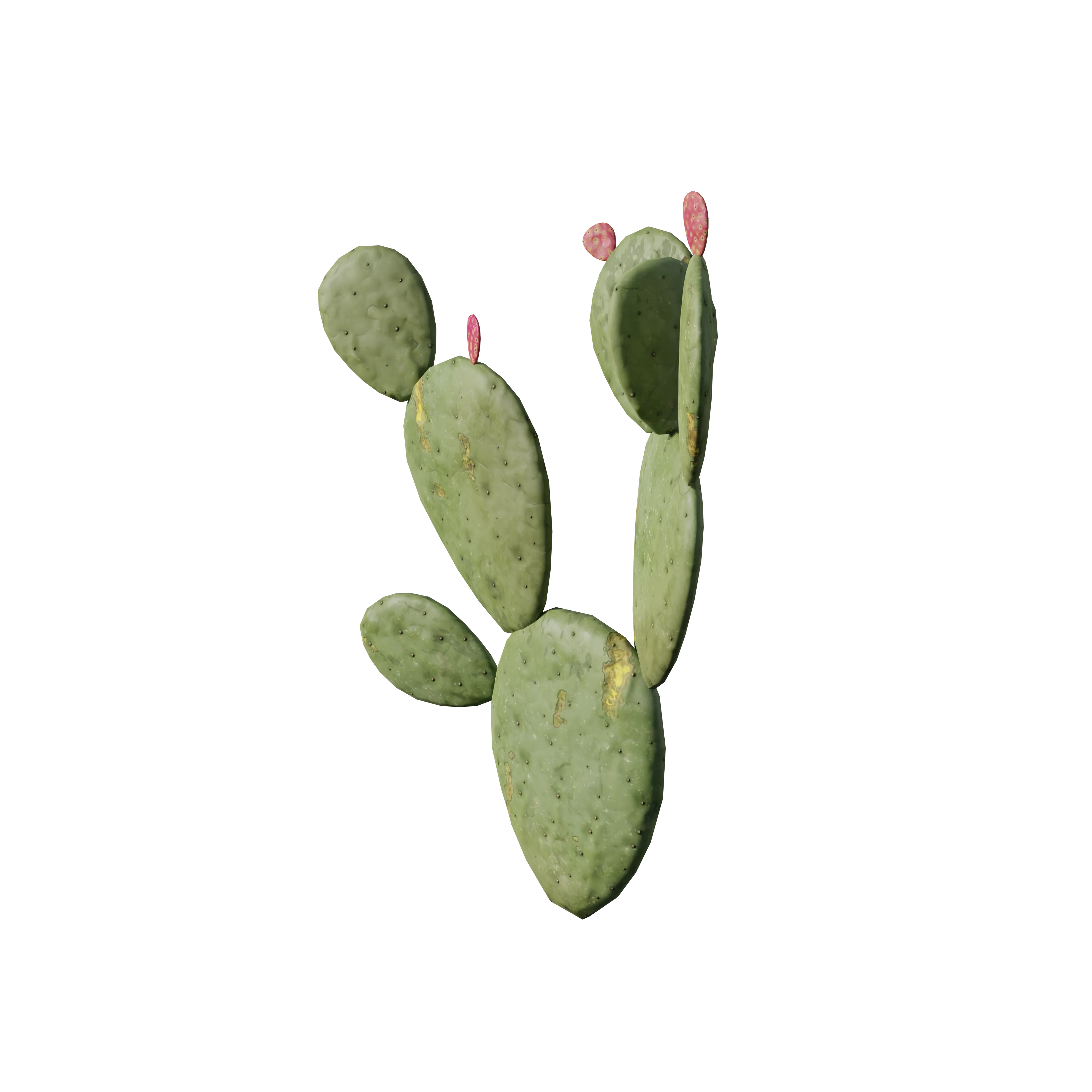 Product image 221