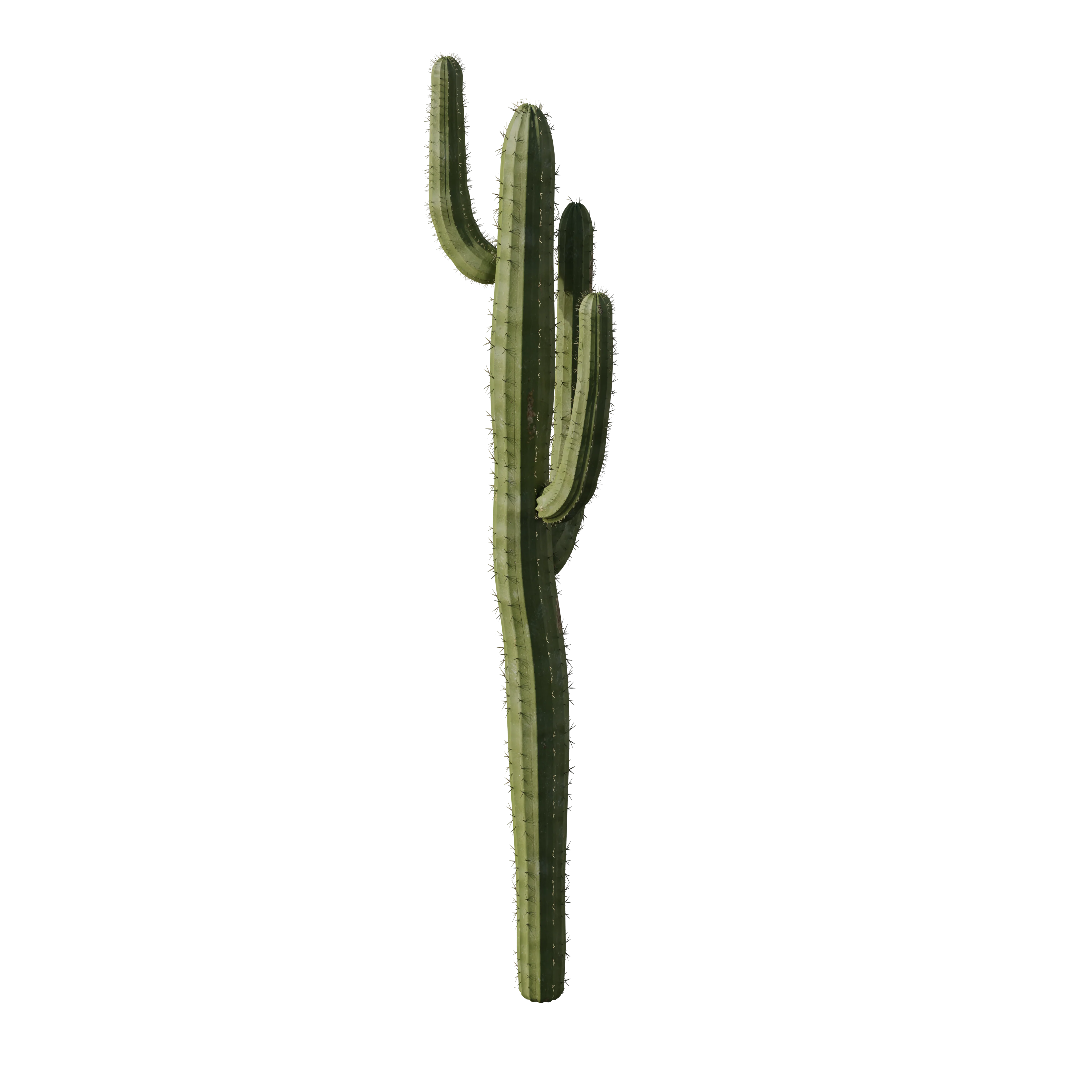 Product image 224