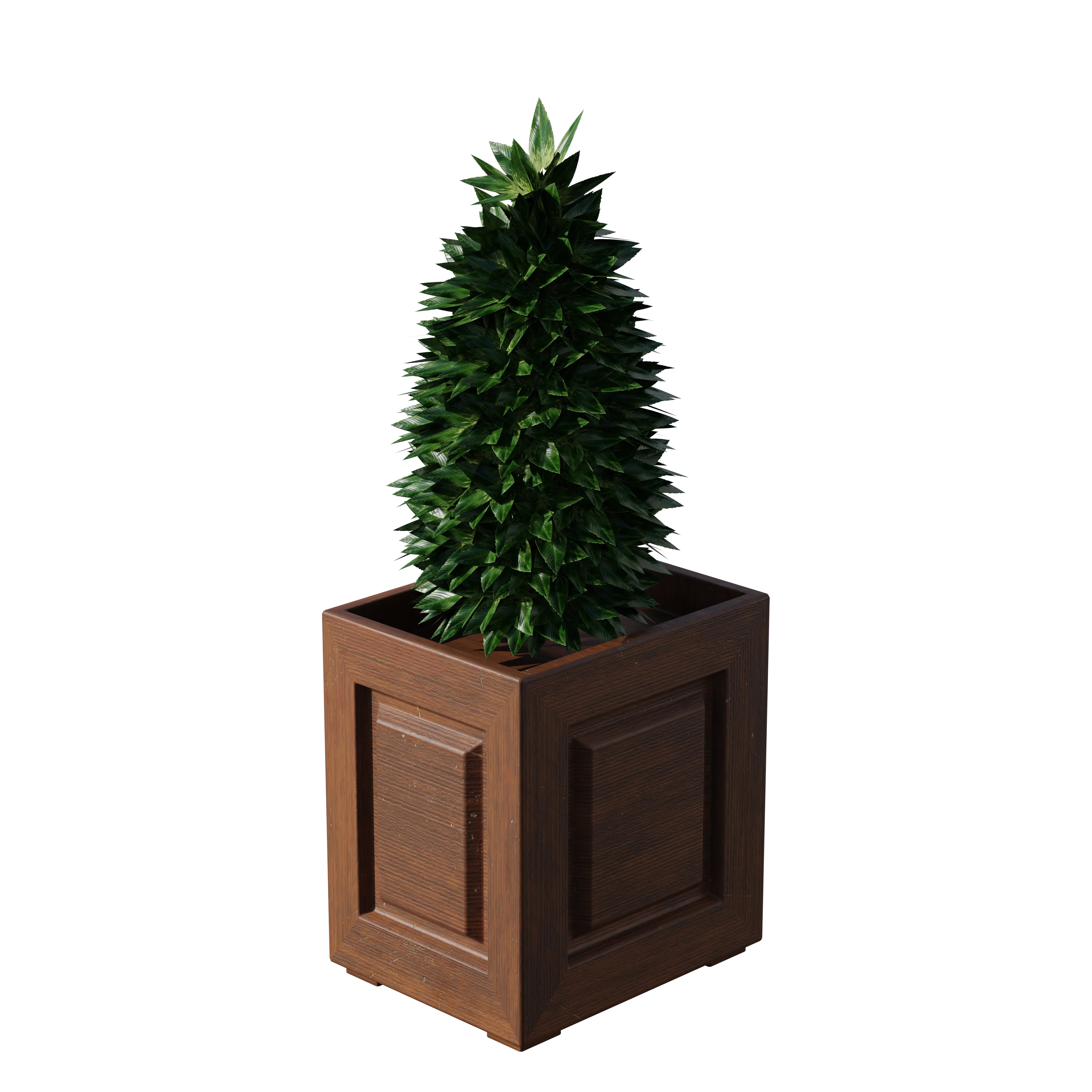 Product image 100