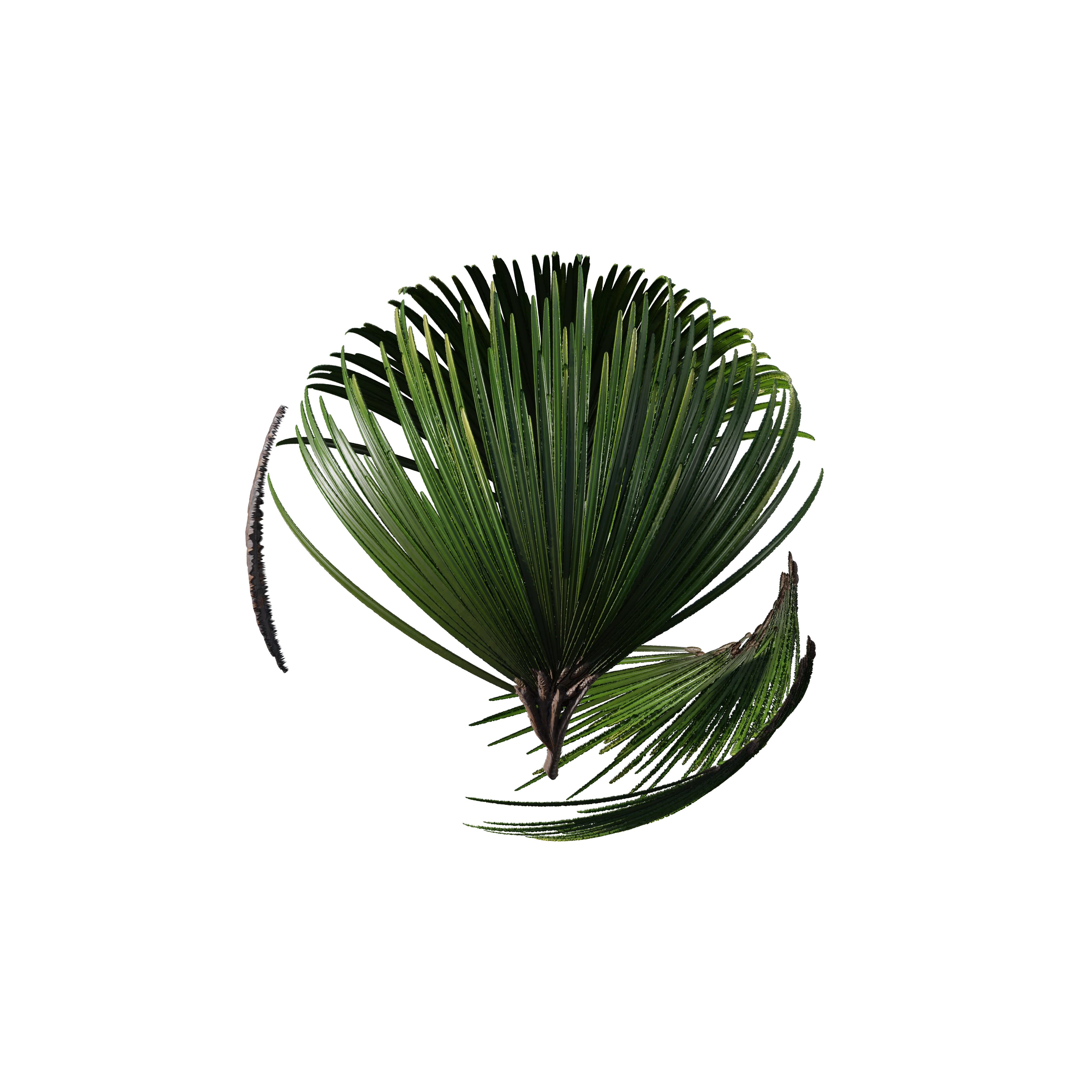 Product image 103