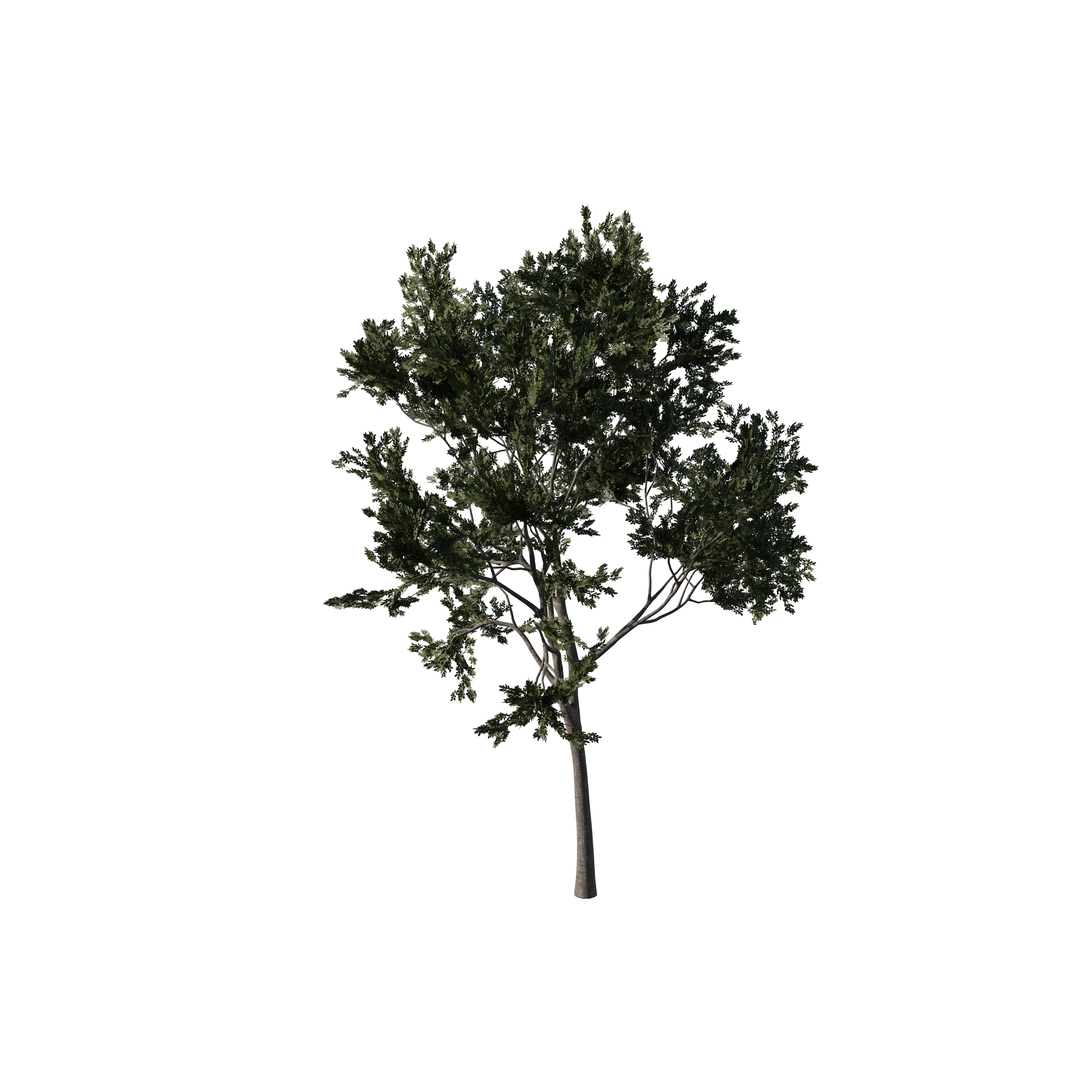 Product image 172
