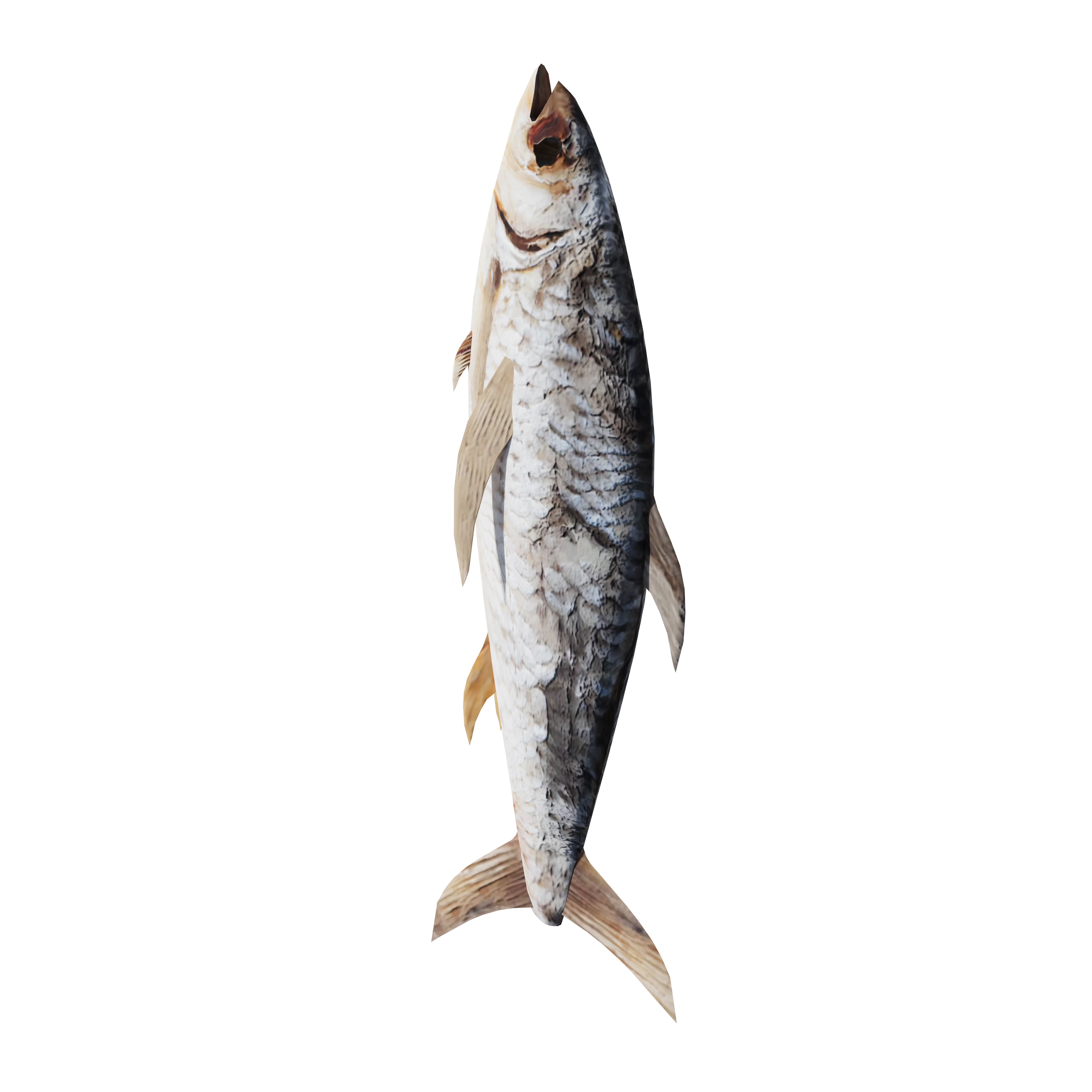 Product image 71