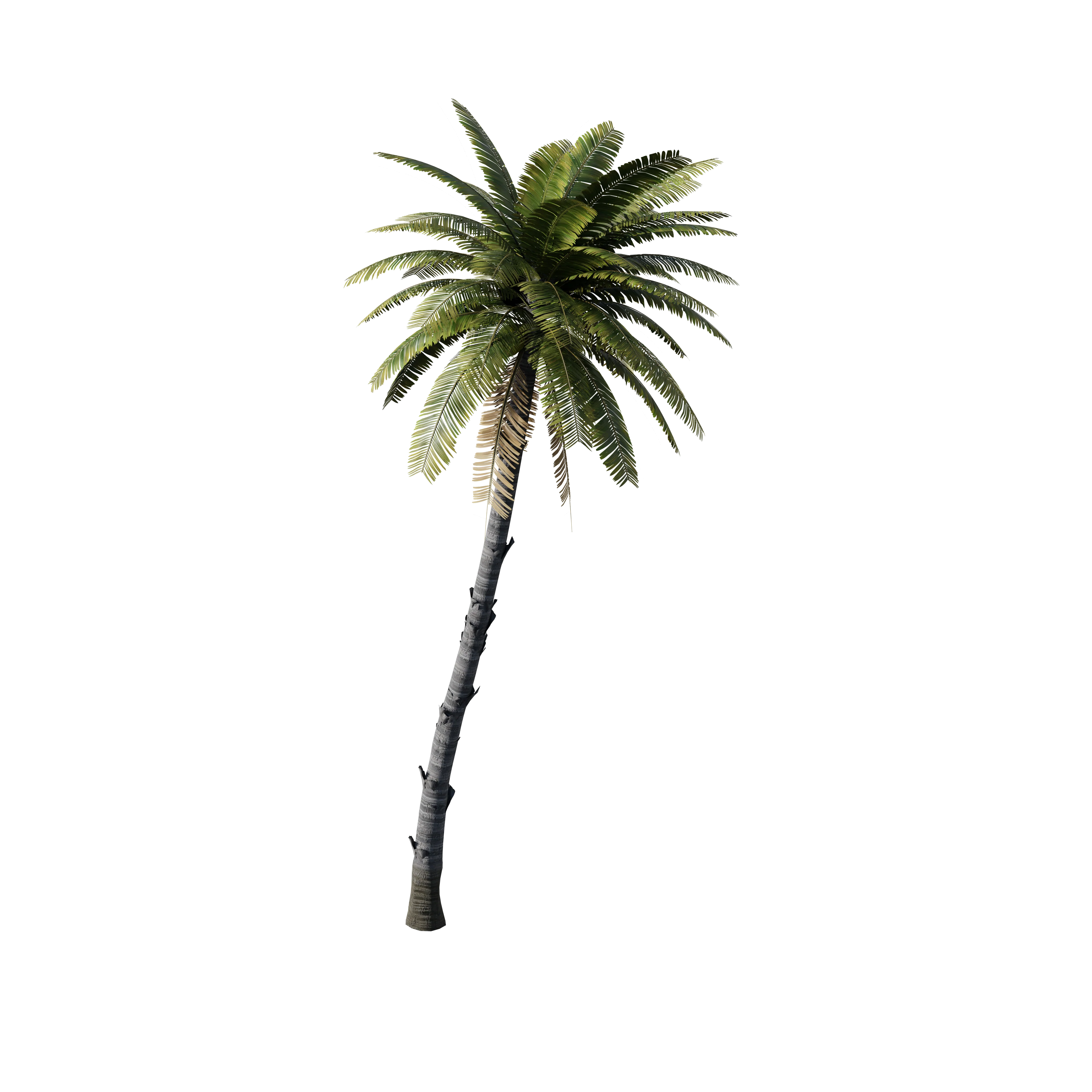 Product image 80