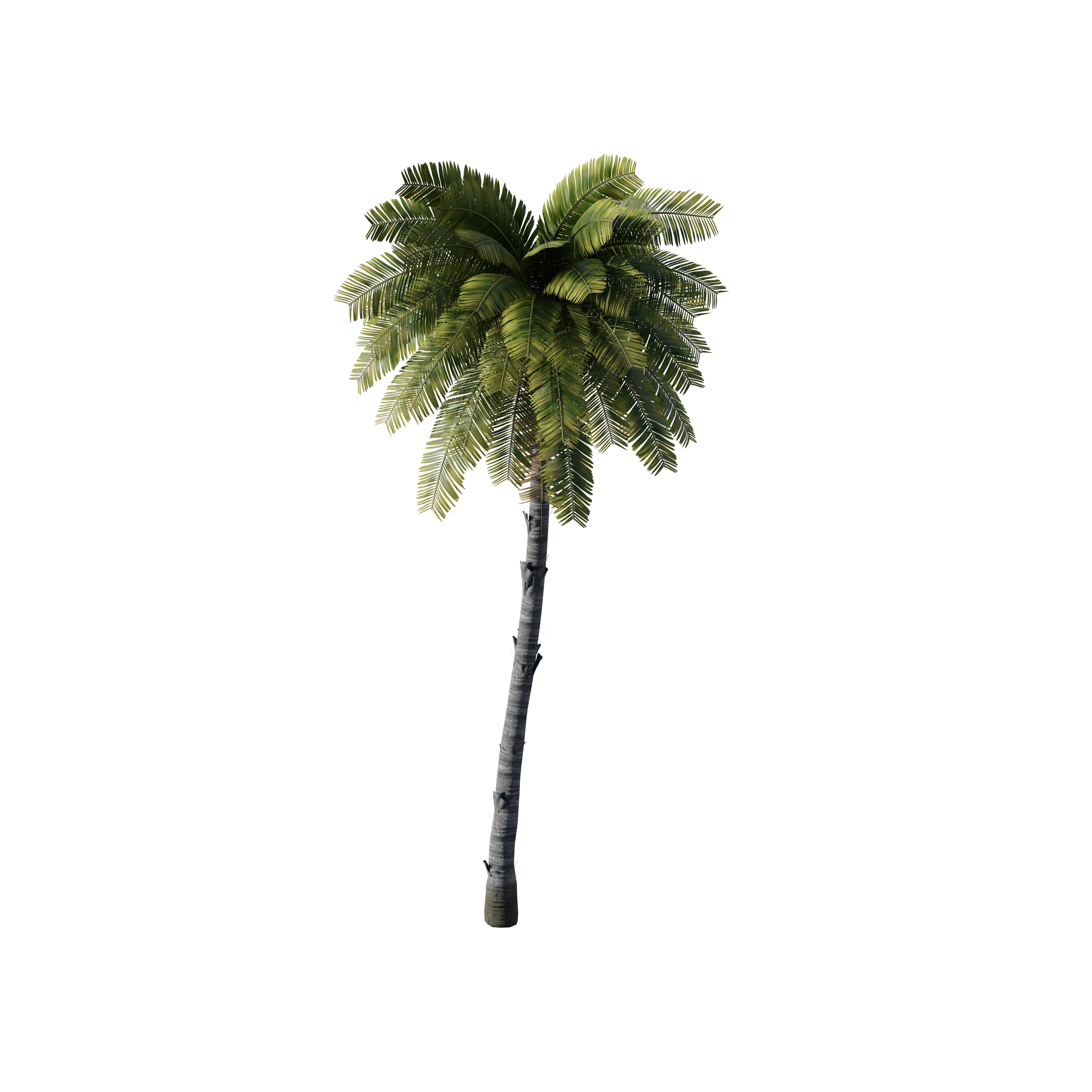 Product image 81
