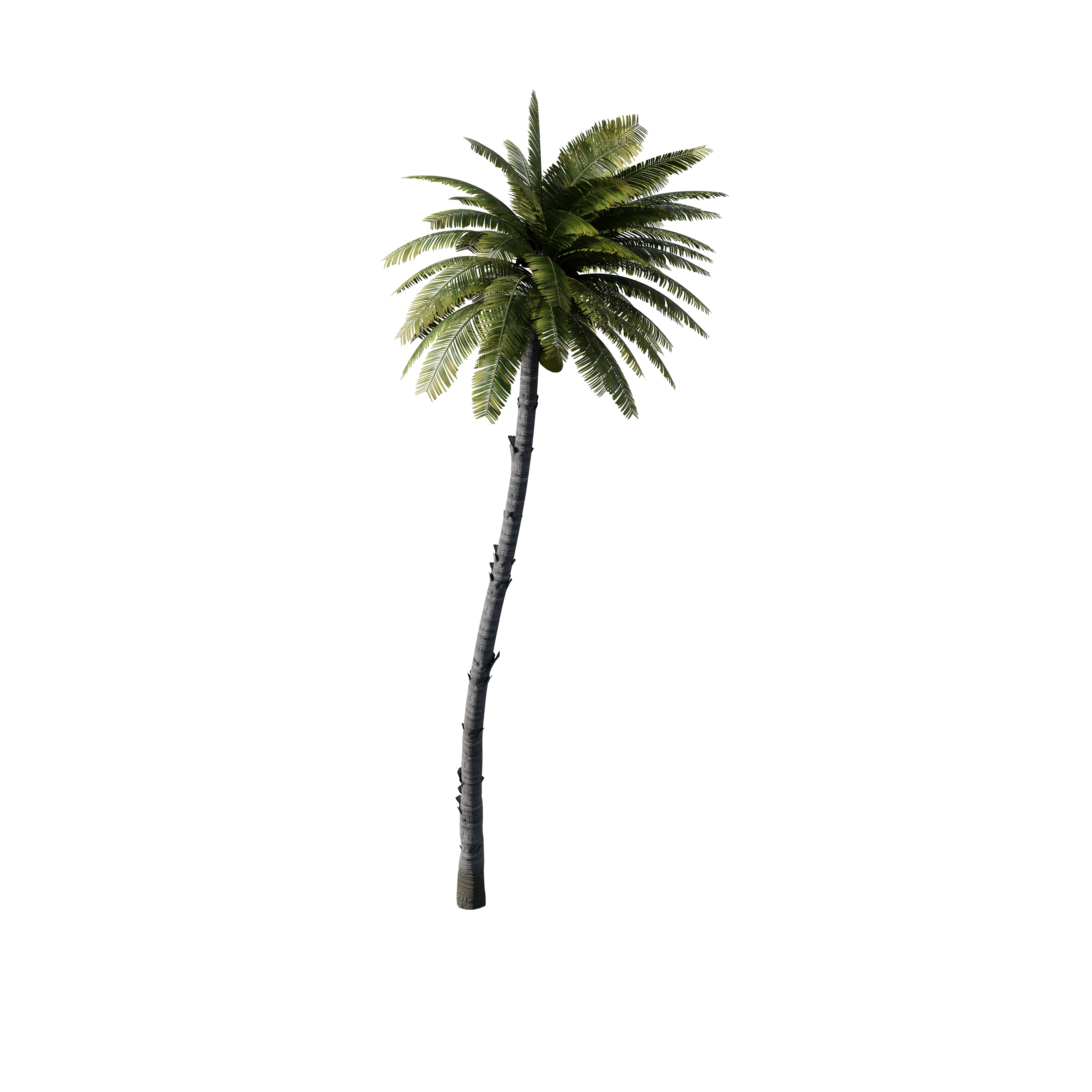 Product image 82