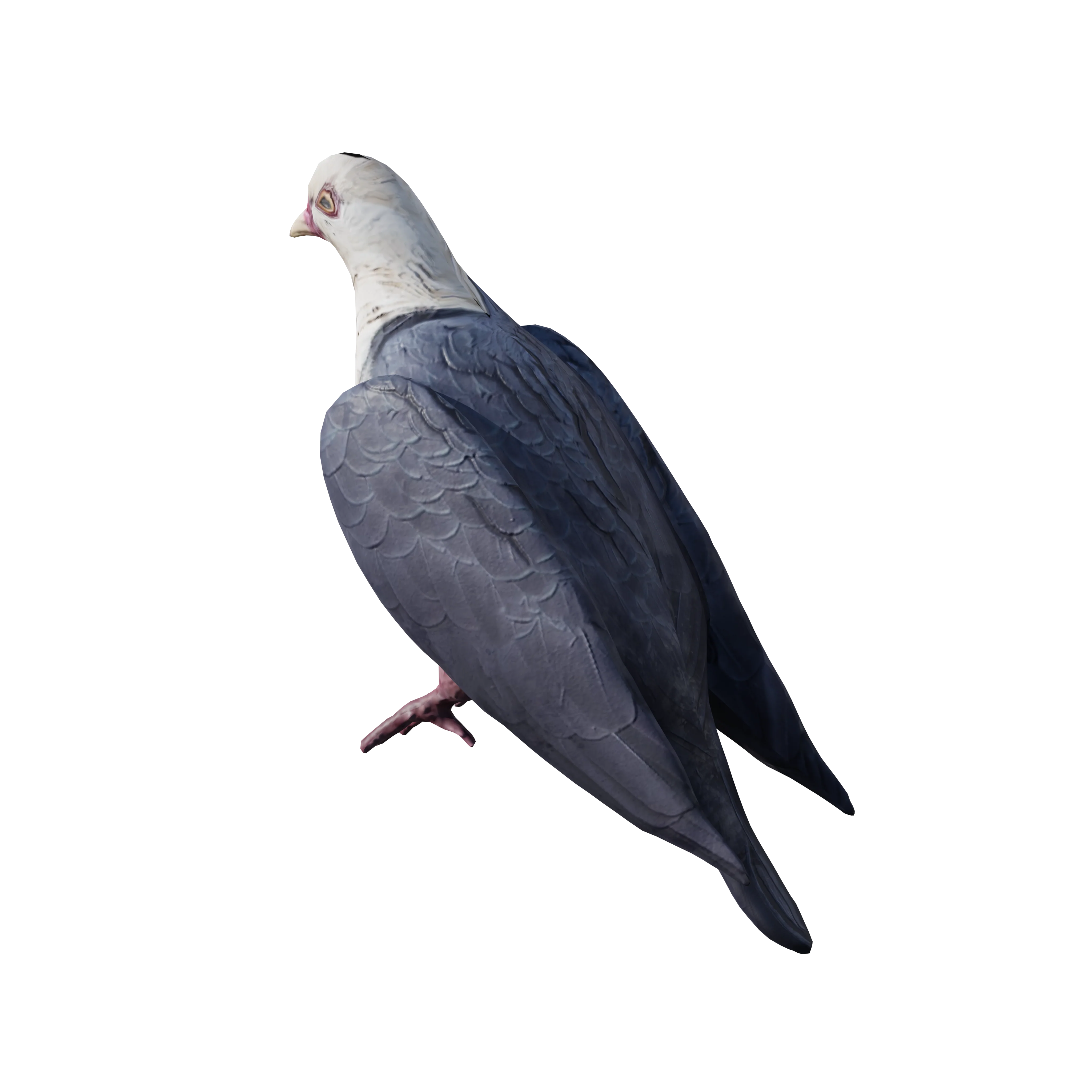 Product image 83