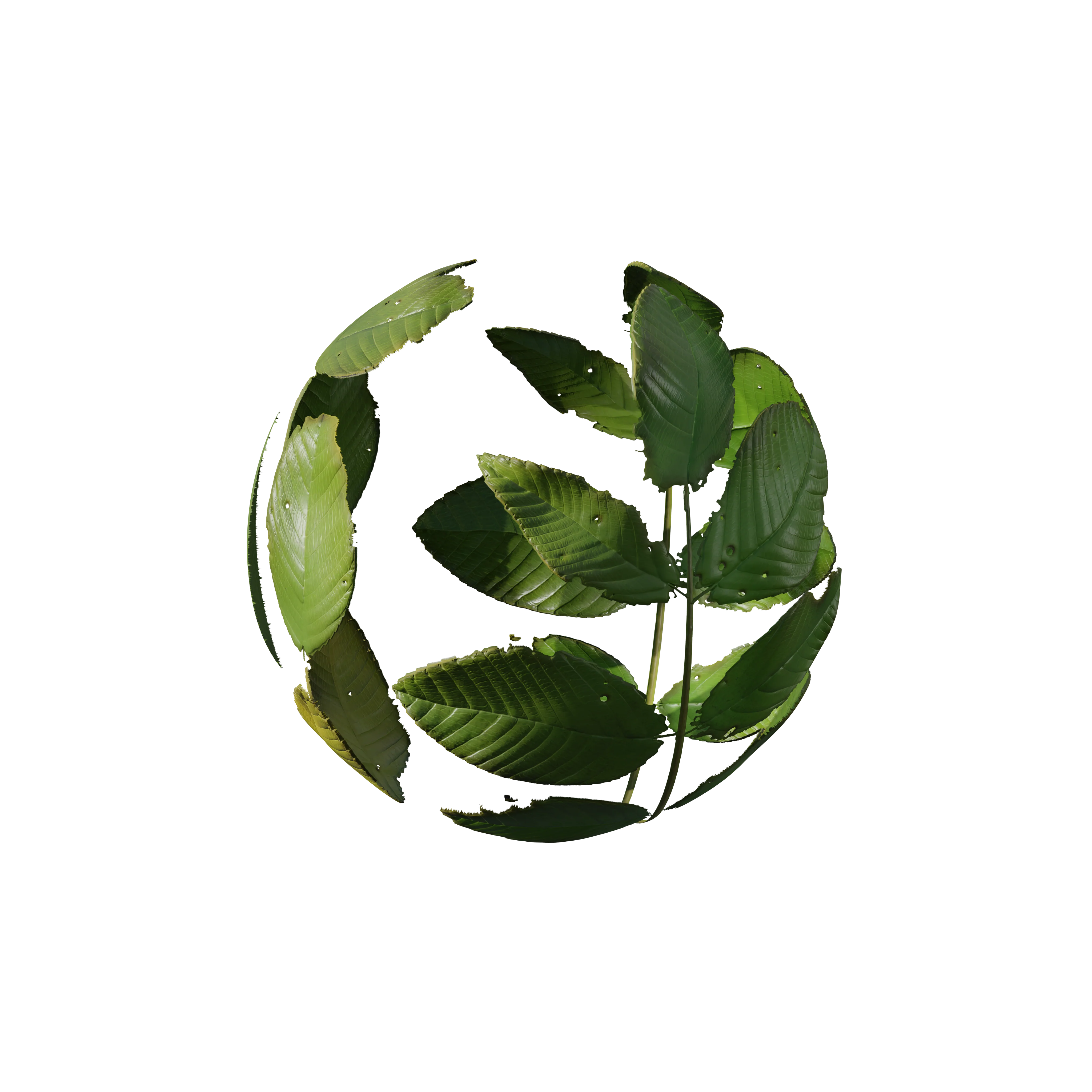 Product image 127