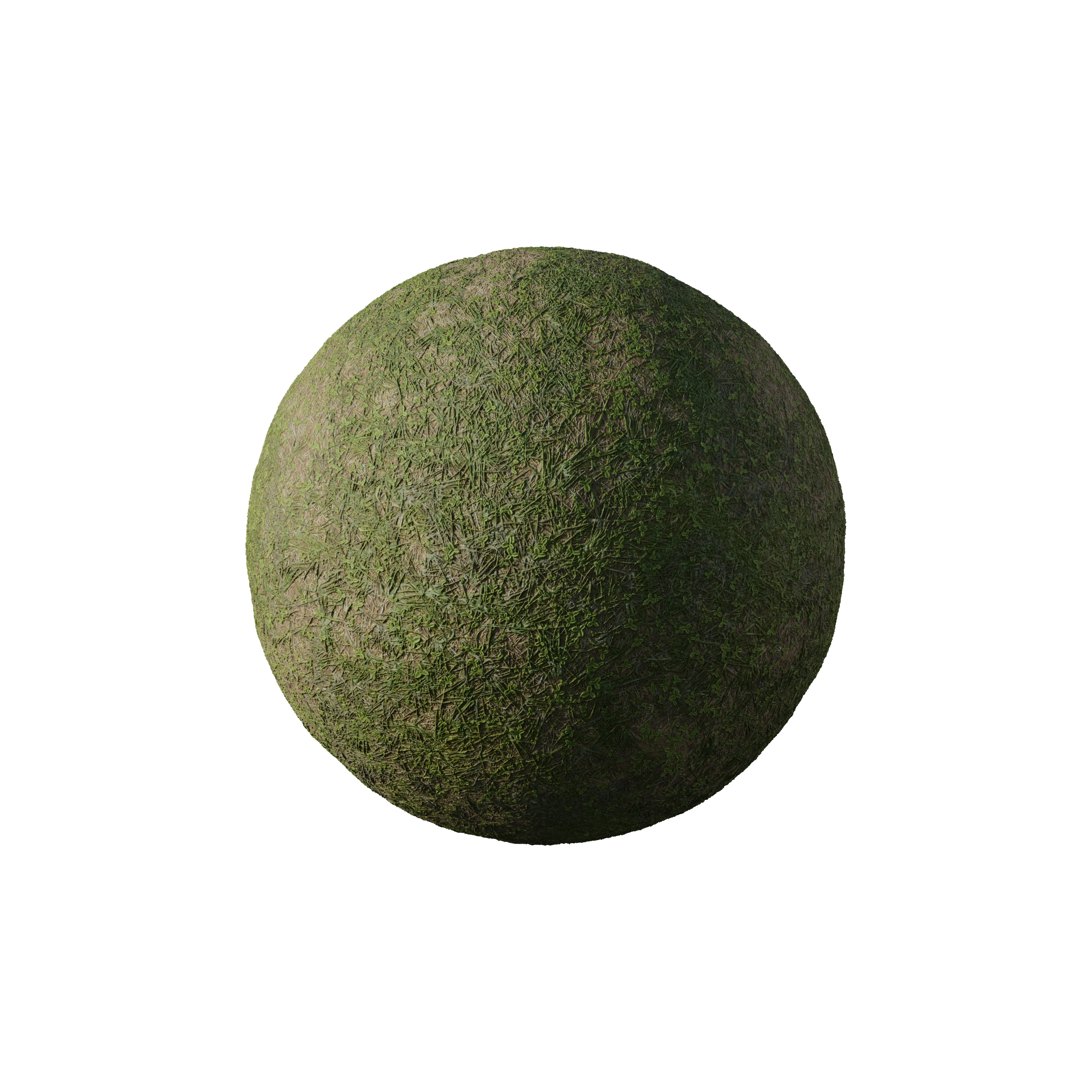 Product image 146